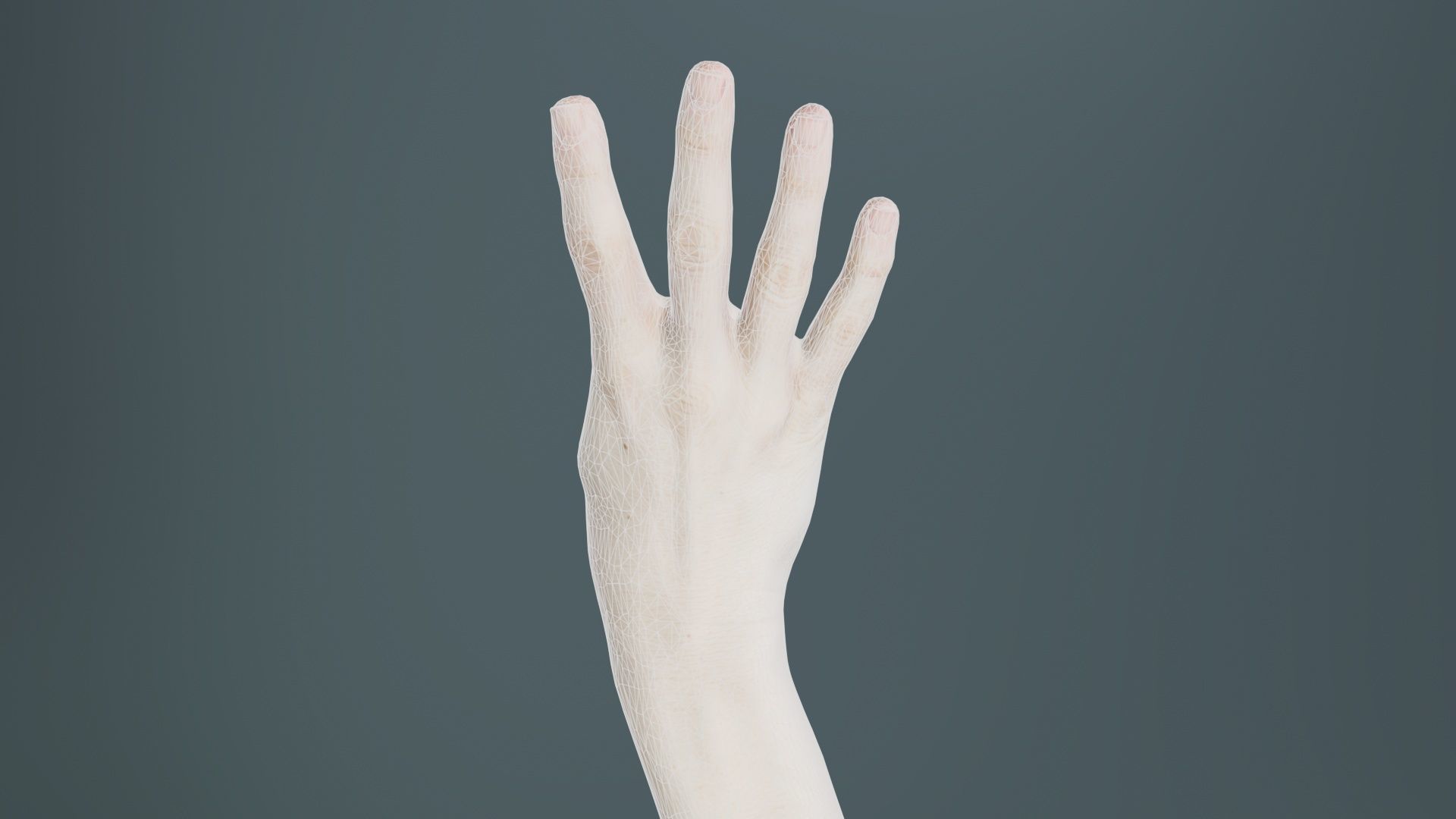 Single Hand 009 Low-poly 3D model_10