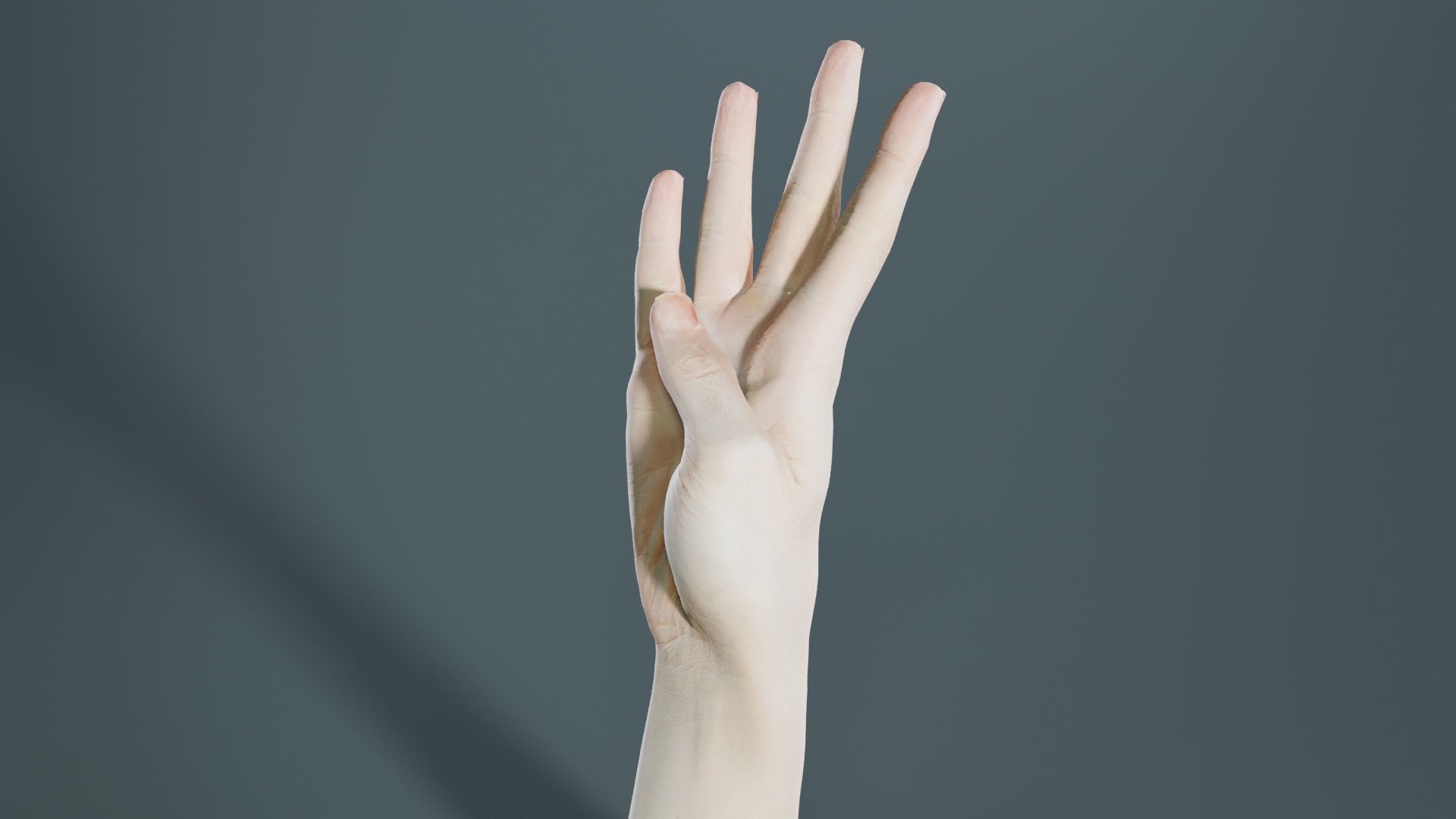 Single Hand 009 Low-poly 3D model_1