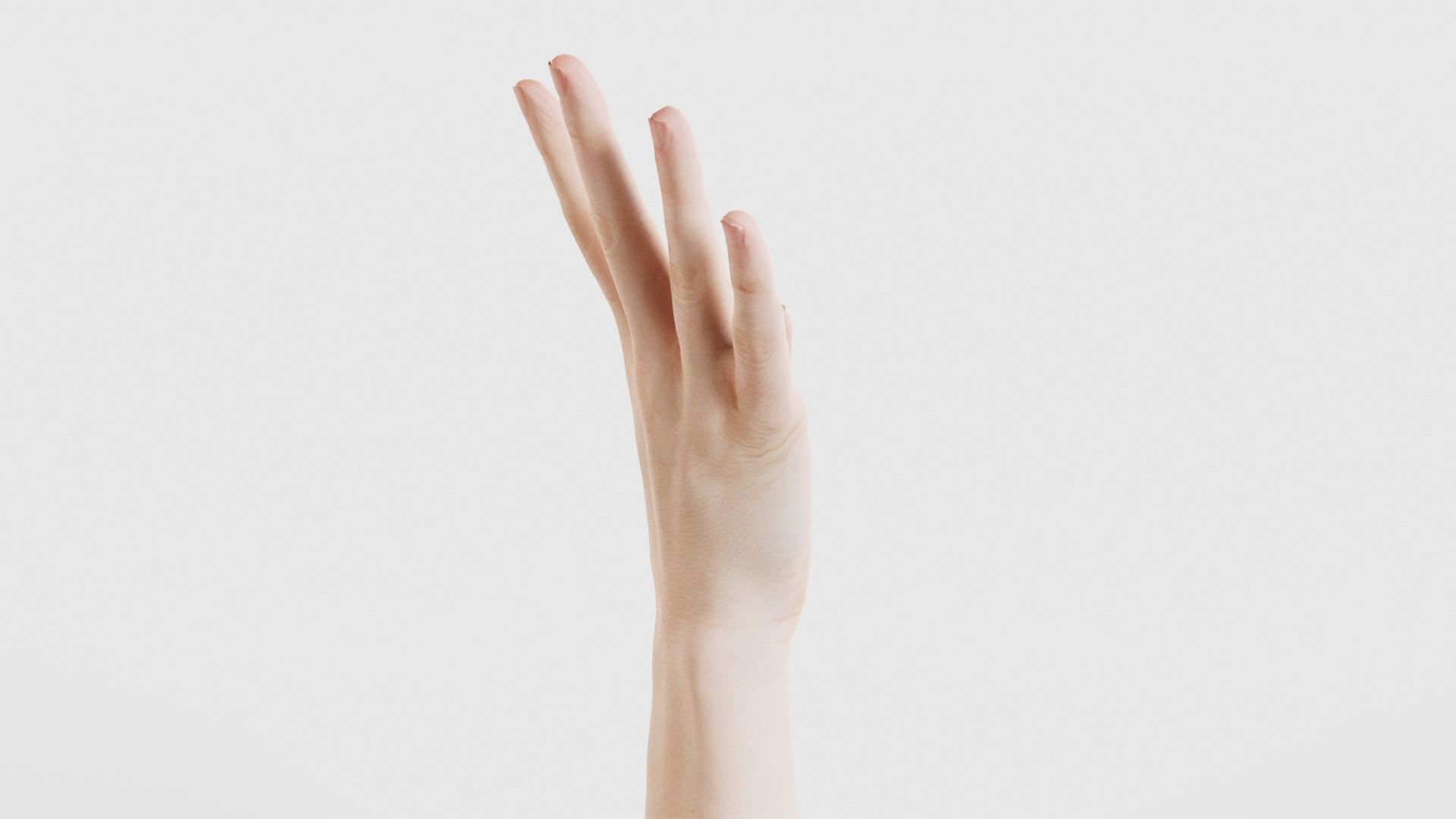 Single Hand 009 Low-poly 3D model_19