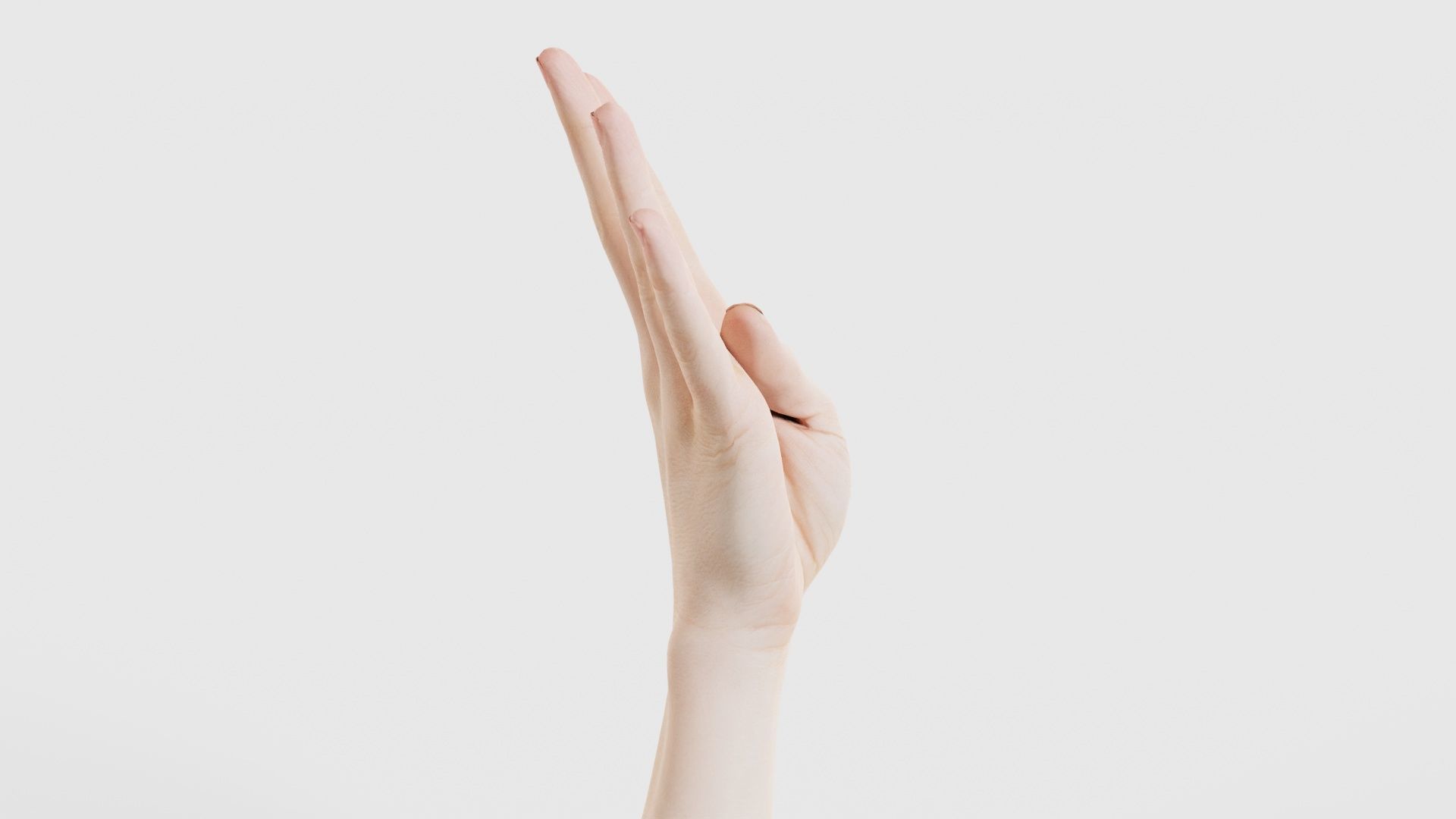 Single Hand 009 Low-poly 3D model_18