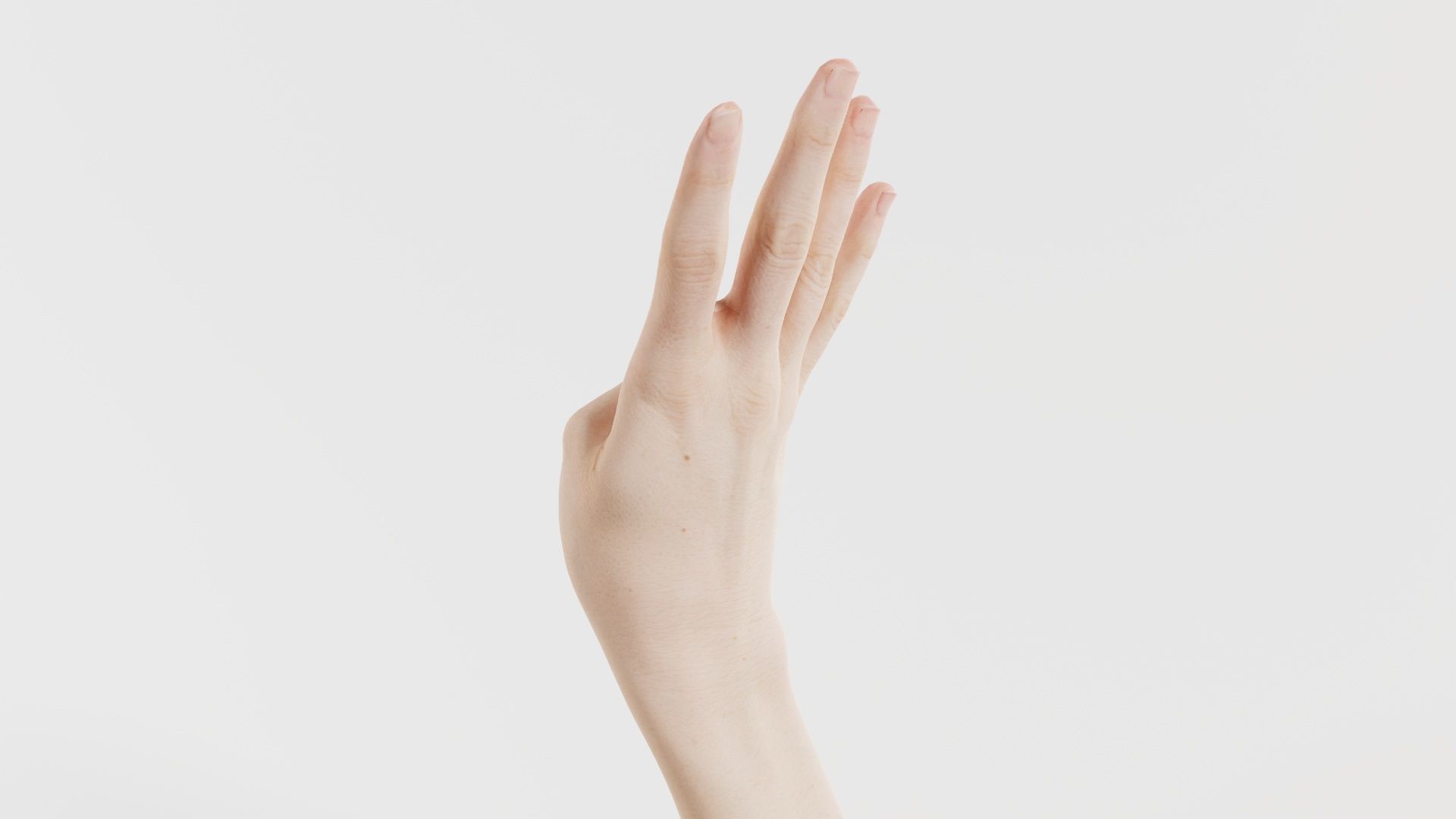 Single Hand 009 Low-poly 3D model_6