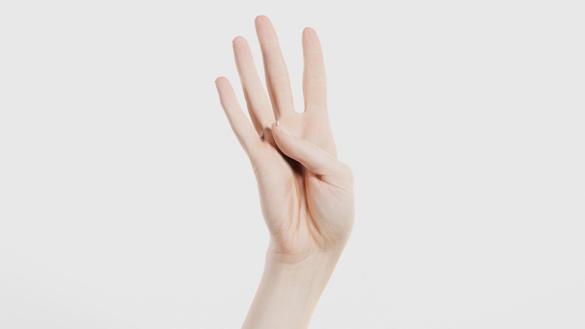 Single Hand 009 Low-poly 3D model_16