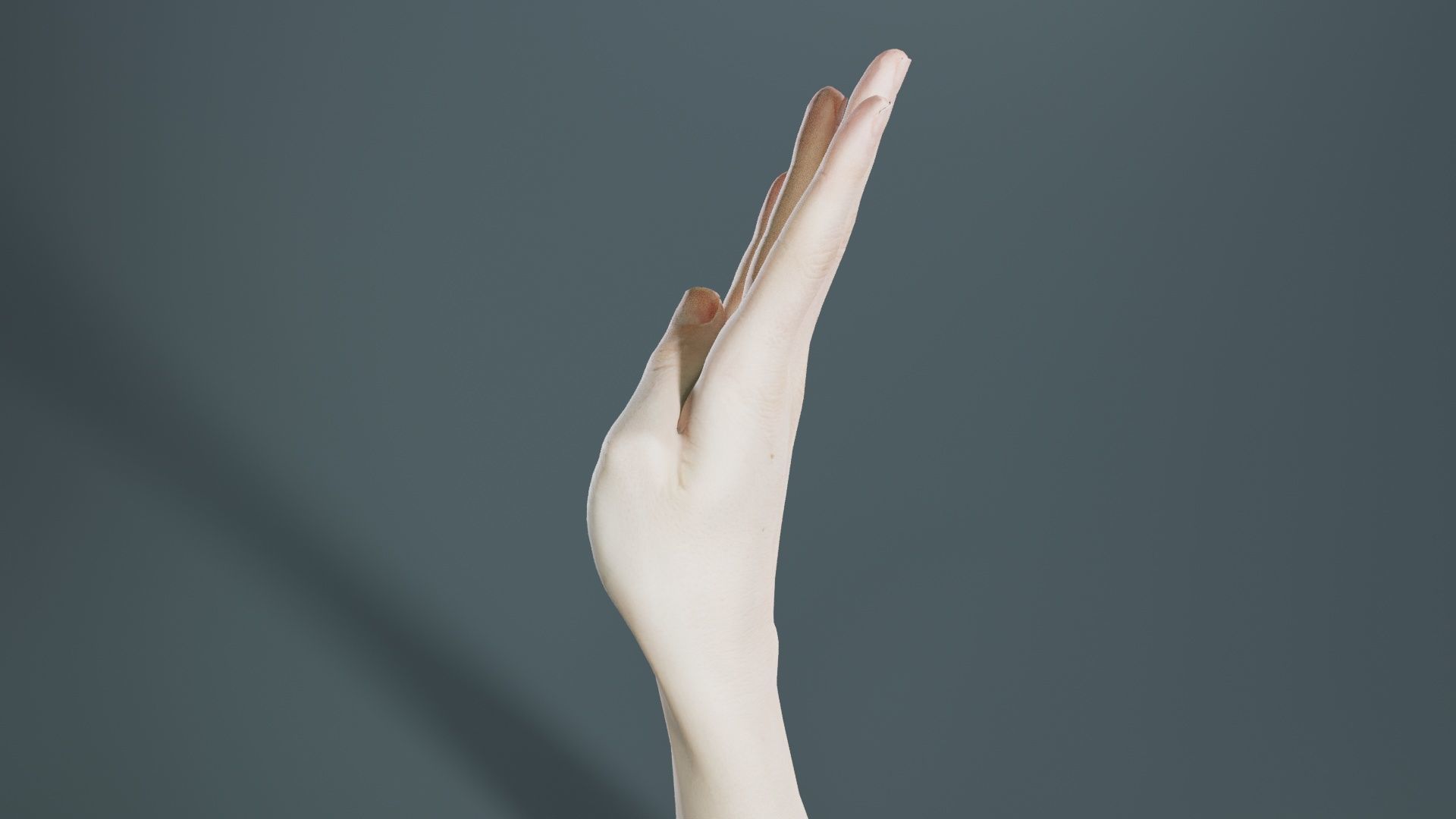 Single Hand 009 Low-poly 3D model_4