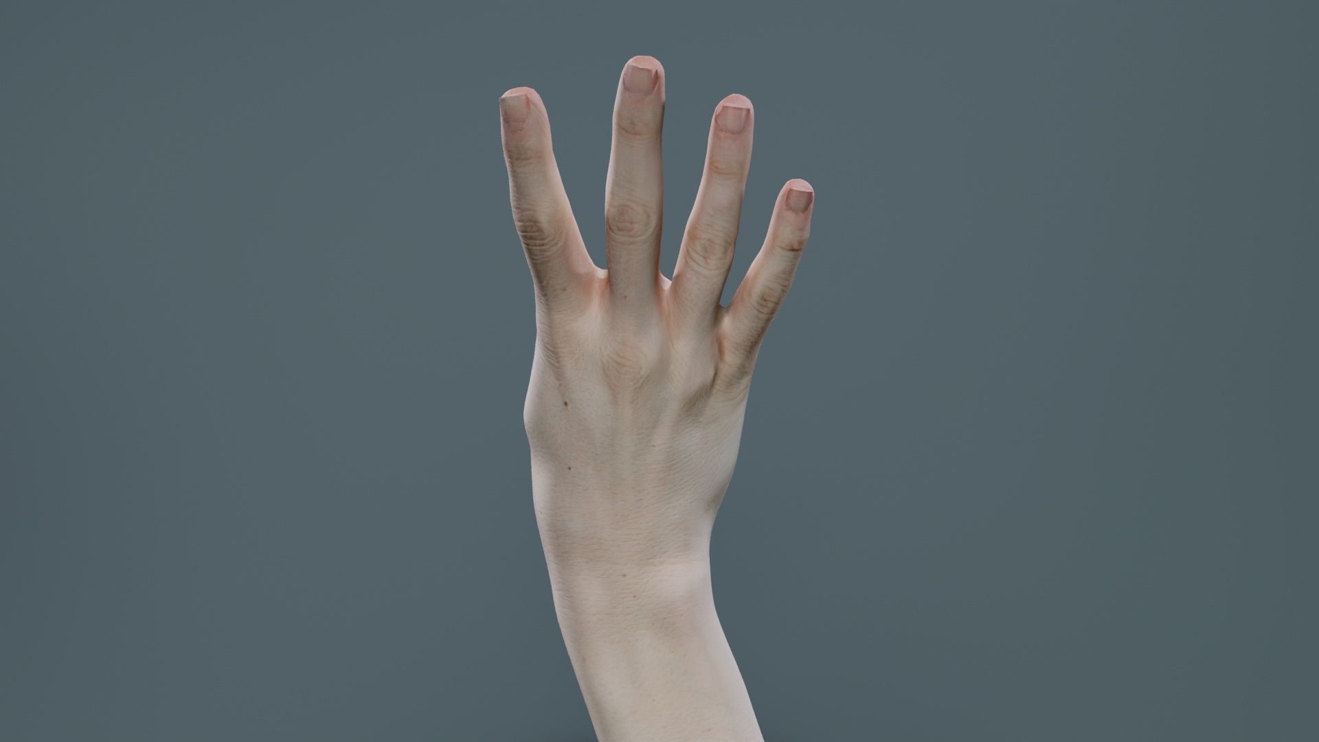 Single Hand 009 Low-poly 3D model_3