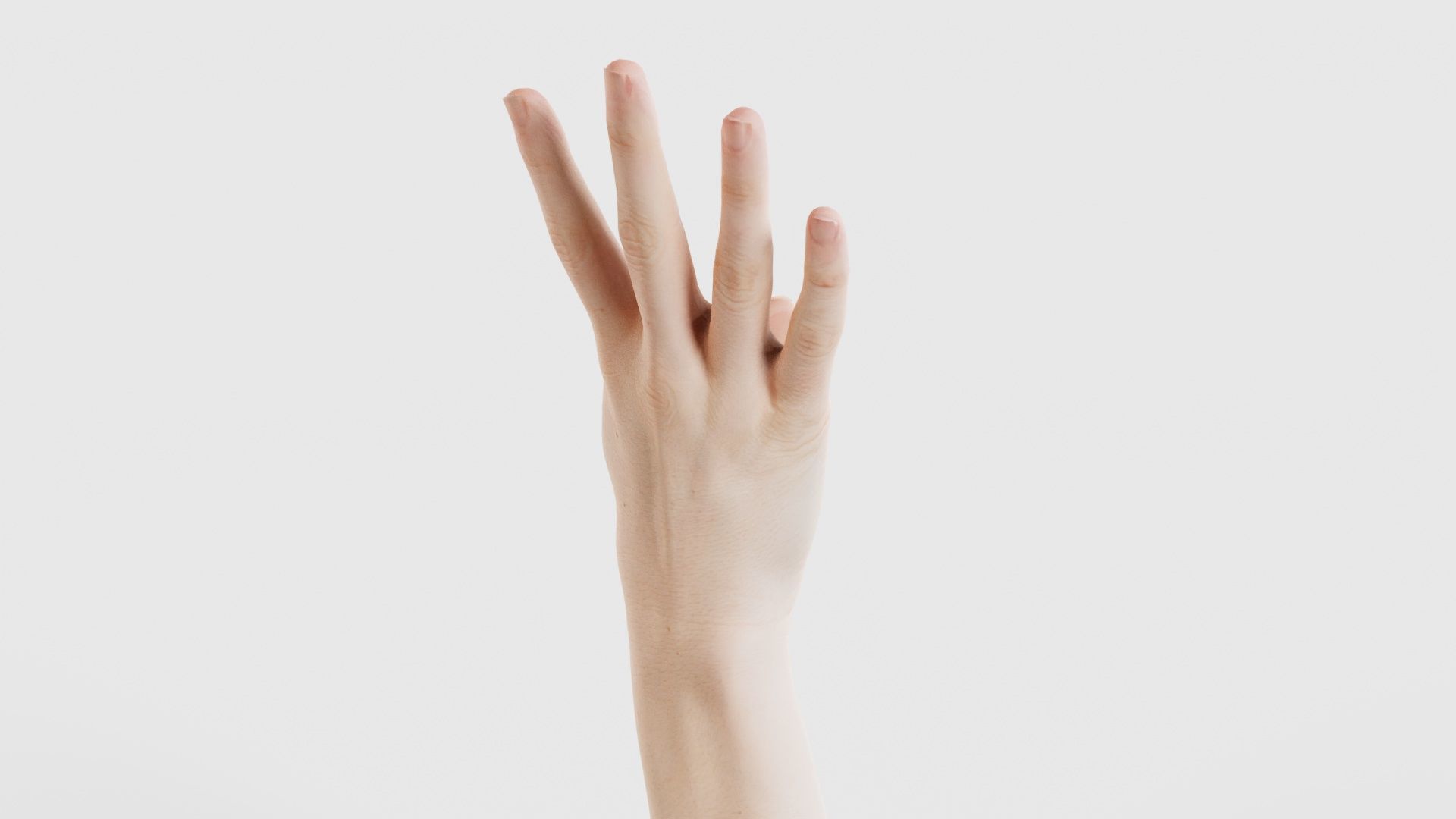 Single Hand 009 Low-poly 3D model_20