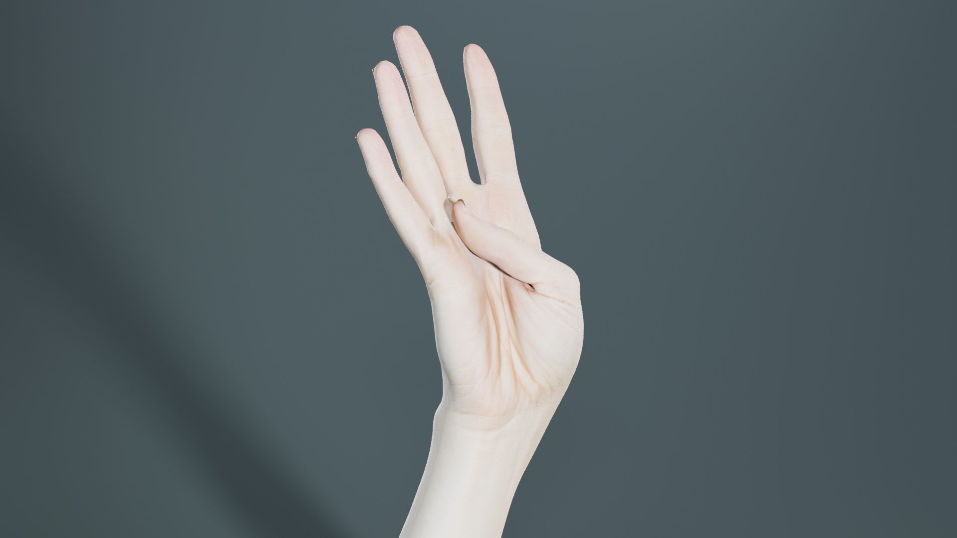 Single Hand 009 Low-poly 3D model_8