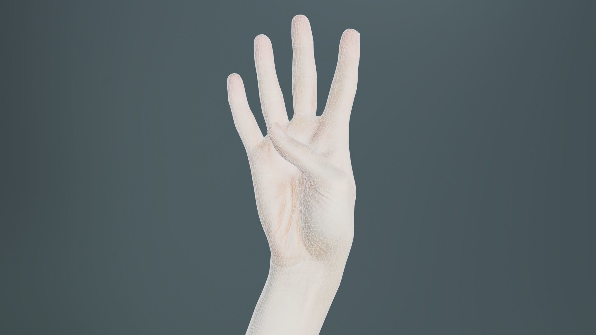 Single Hand 009 Low-poly 3D model_9