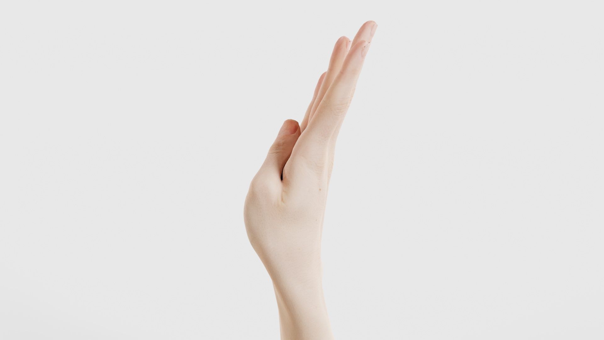 Single Hand 009 Low-poly 3D model_24