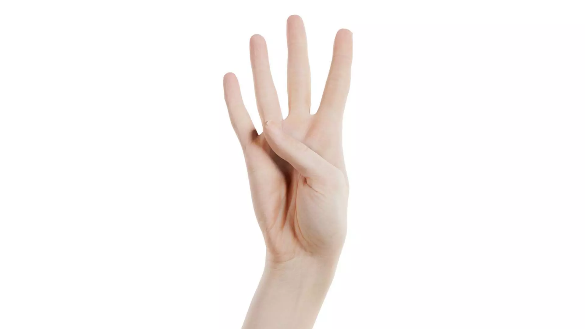 Single Hand 009 Low-poly 3D model_0