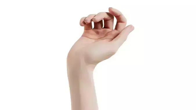 Single Hand 010 Low-poly 3D model