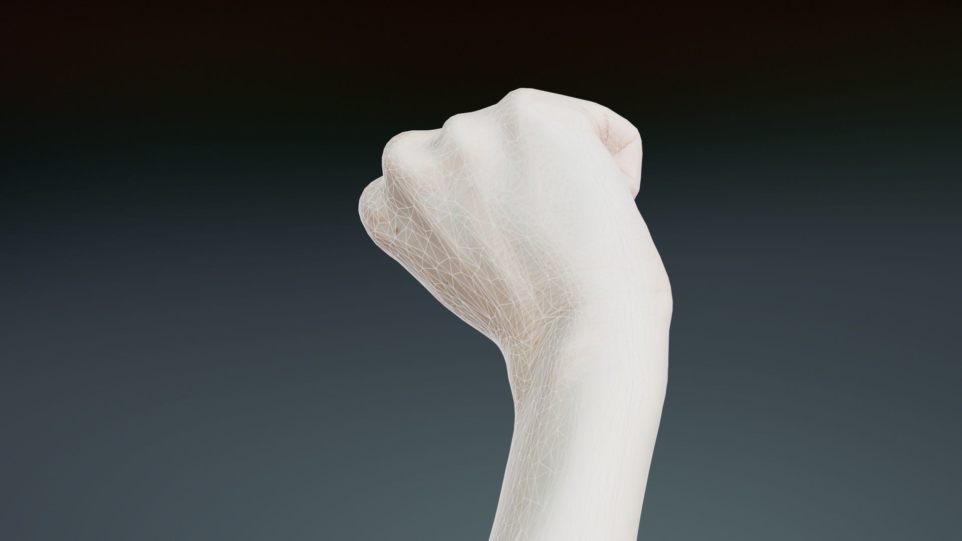 Single Hand 011 Low-poly 3D model_10