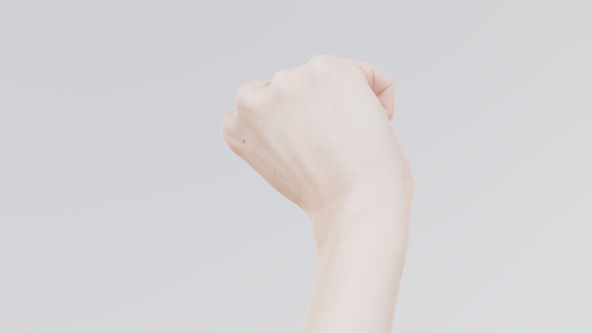 Single Hand 011 Low-poly 3D model_4