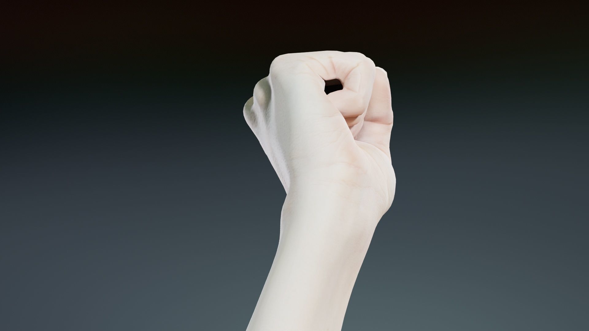 Single Hand 011 Low-poly 3D model_1