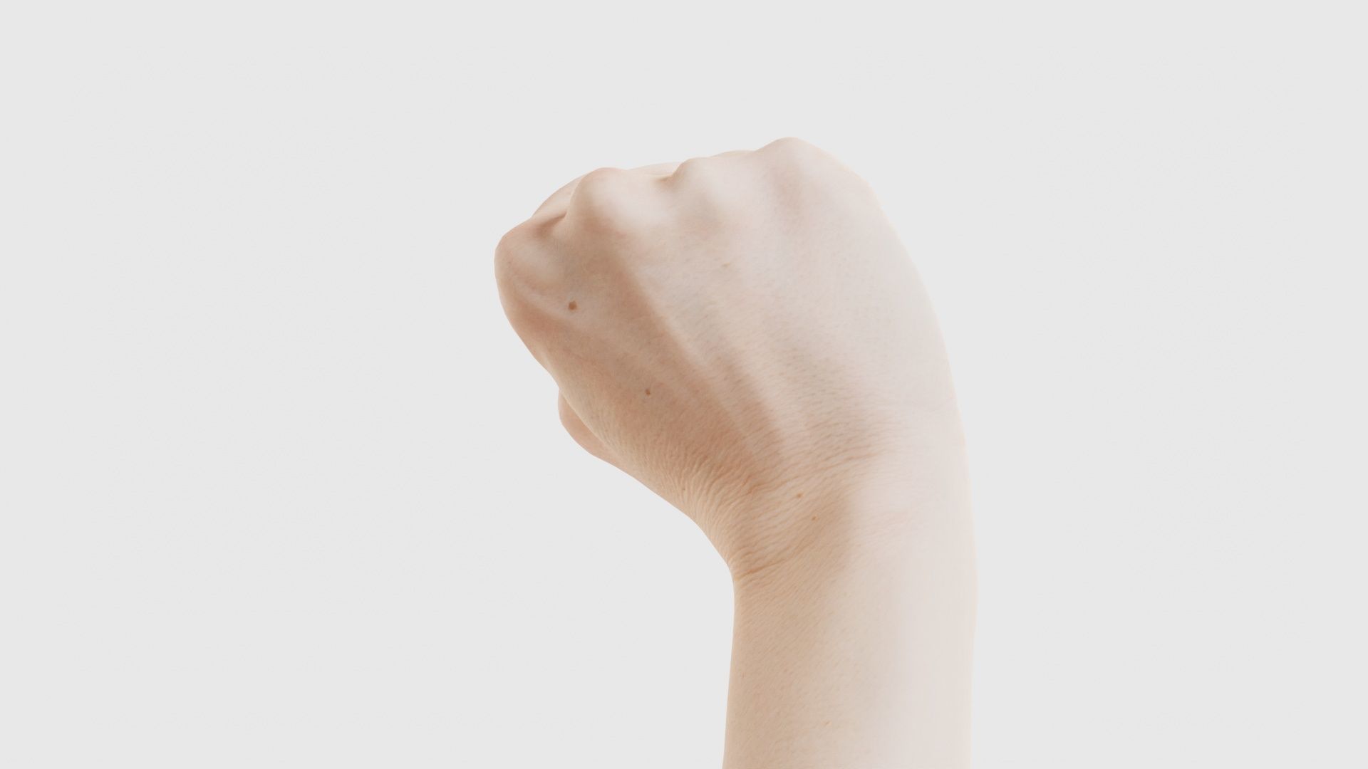 Single Hand 011 Low-poly 3D model_22