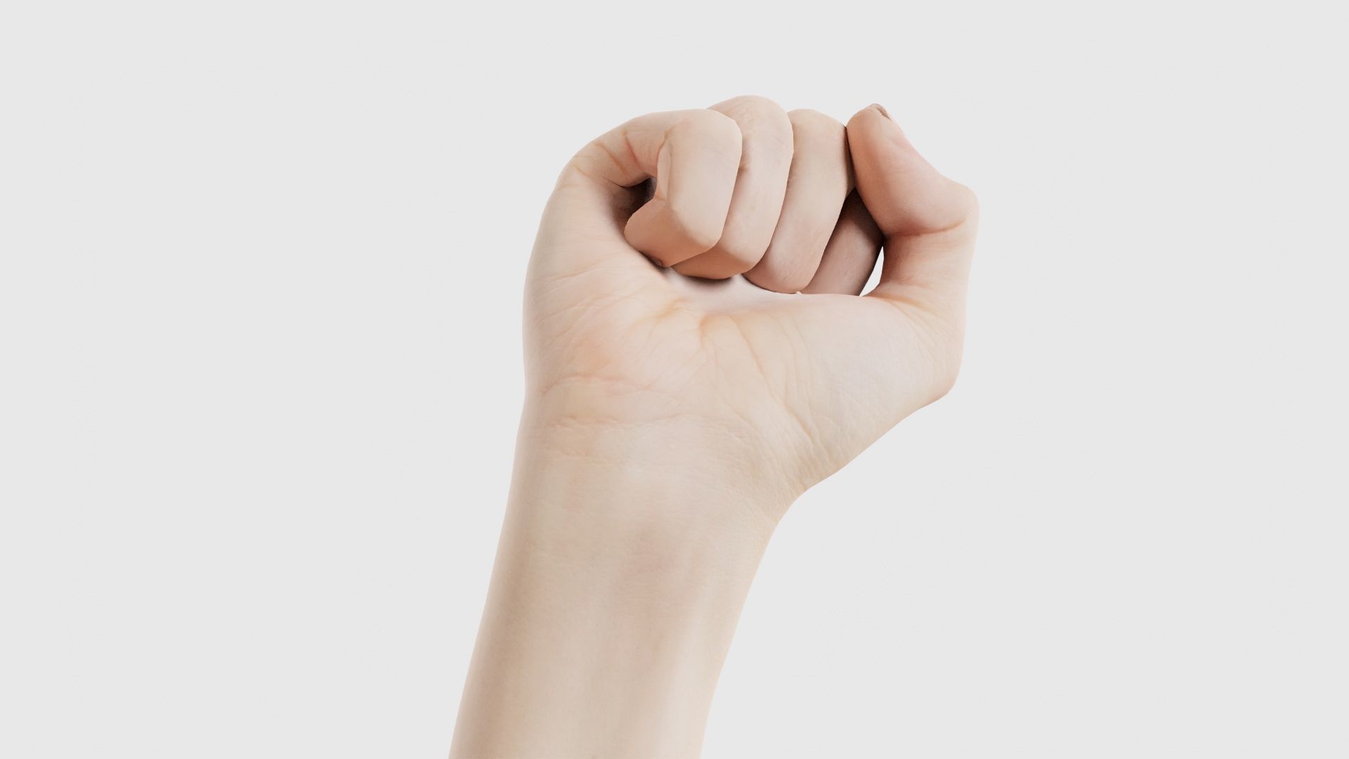 Single Hand 011 Low-poly 3D model_18