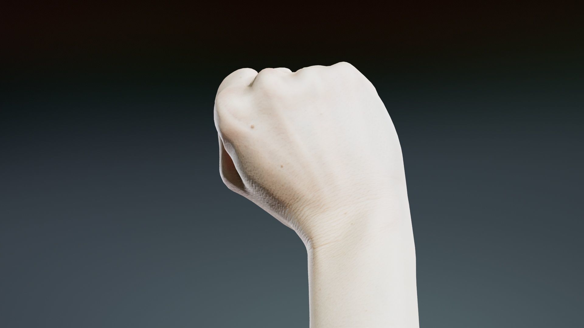 Single Hand 011 Low-poly 3D model_3