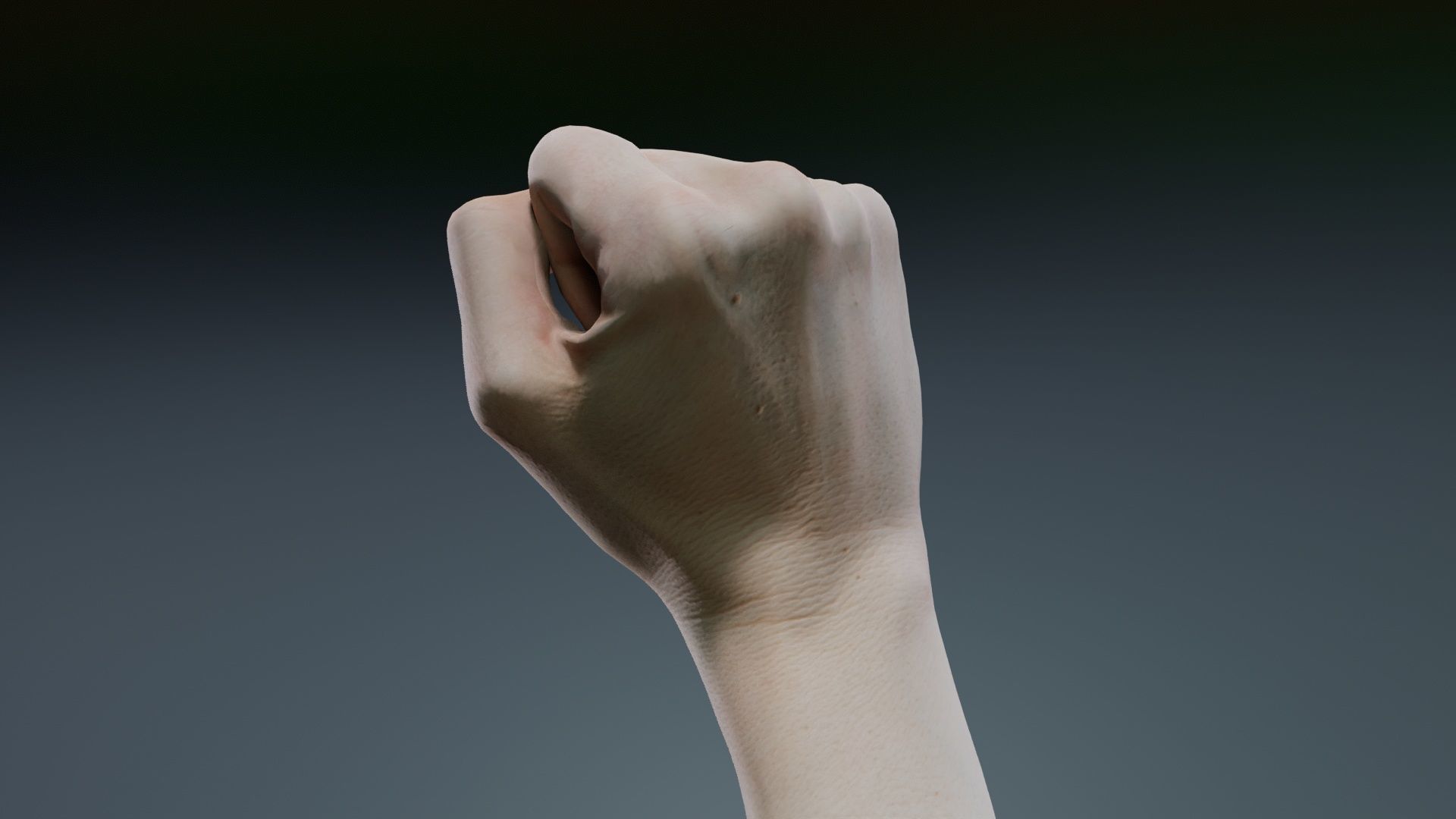 Single Hand 011 Low-poly 3D model_6