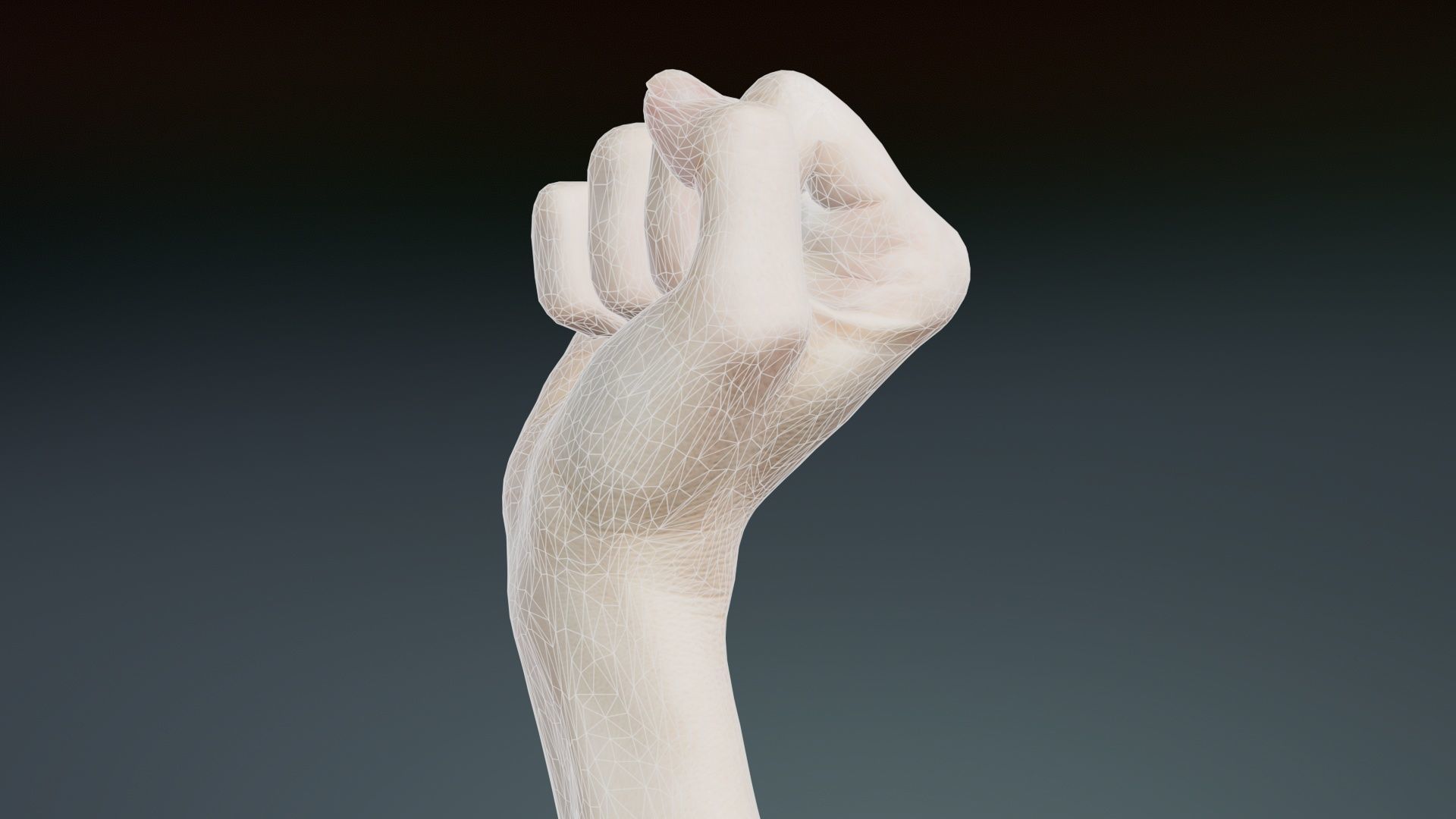 Single Hand 011 Low-poly 3D model_9