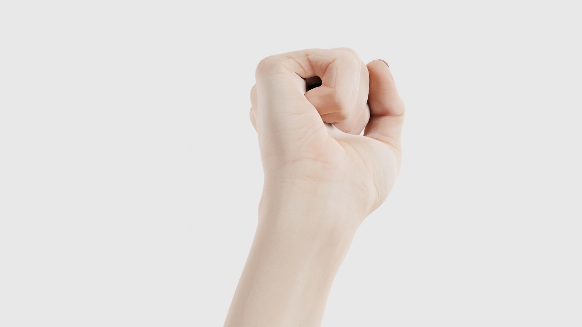 Single Hand 011 Low-poly 3D model_19