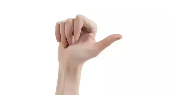 Single Hand 013 Low-poly 3D model