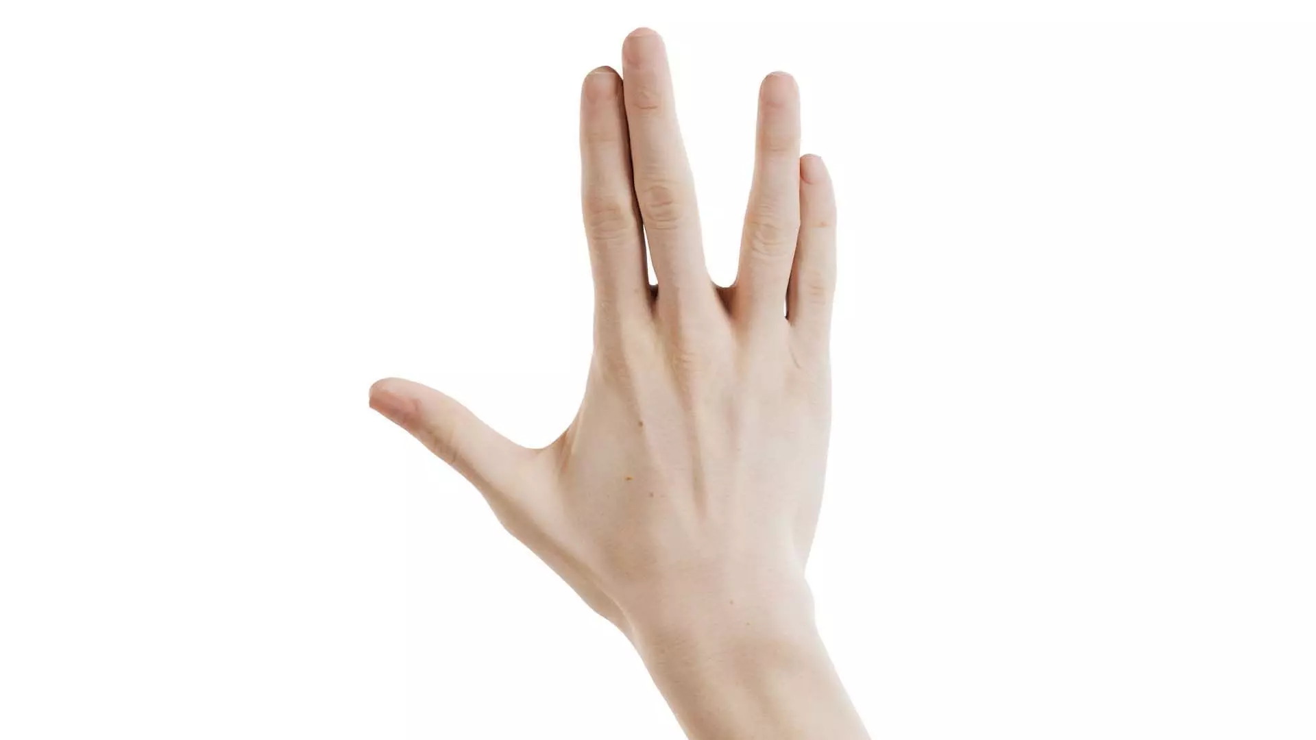 Single Hand 019 Low-poly 3D model