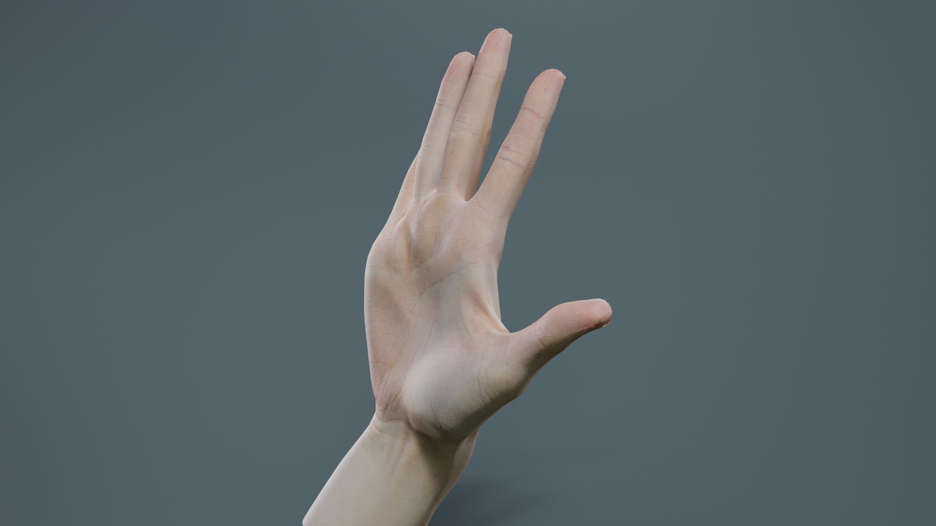 Single Hand 020 Low-poly 3D model_1