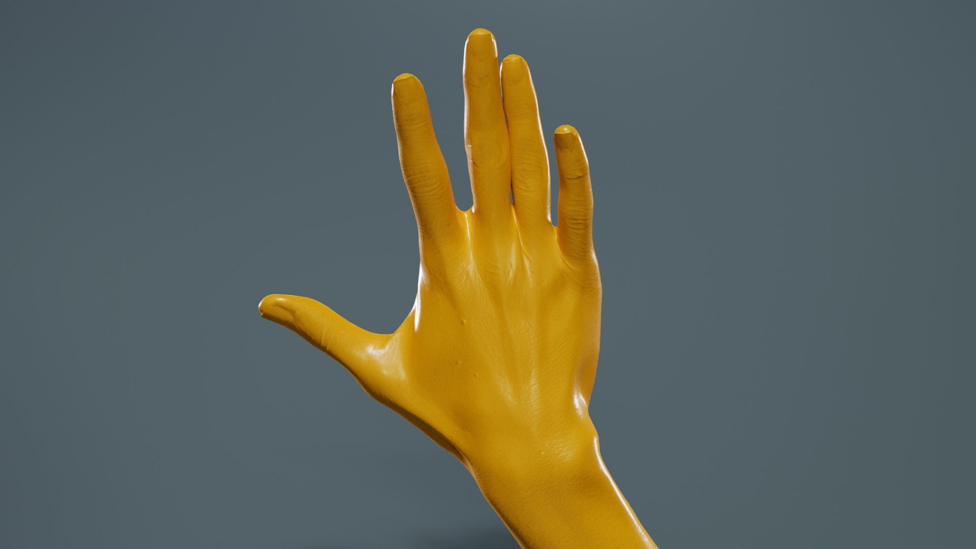 Single Hand 020 Low-poly 3D model_13
