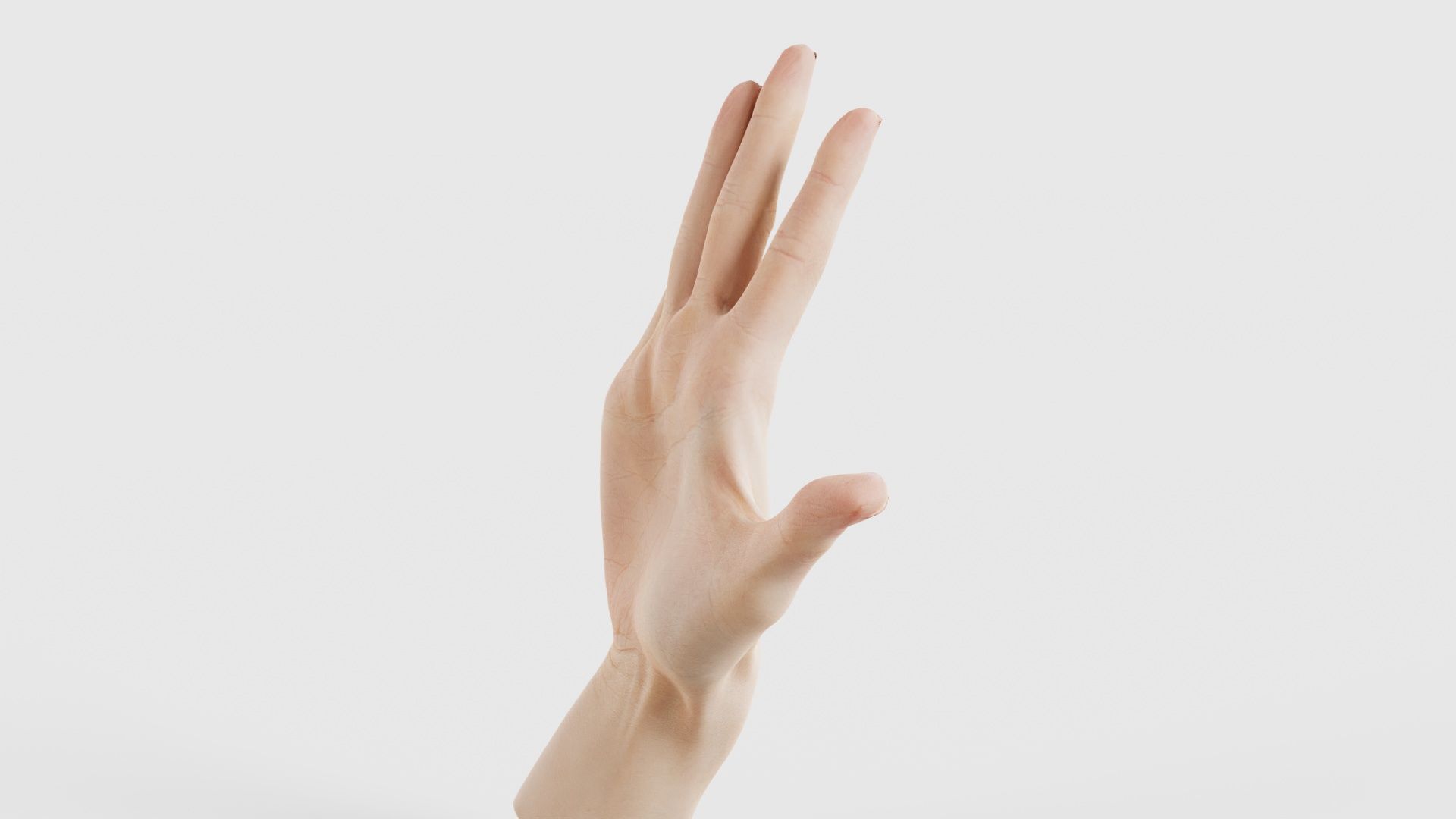 Single Hand 020 Low-poly 3D model_25