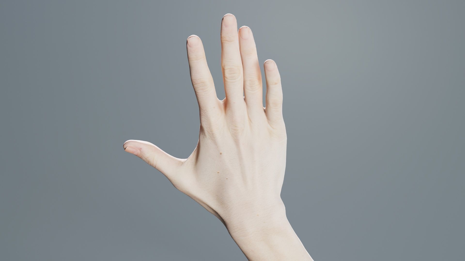 Single Hand 020 Low-poly 3D model_2