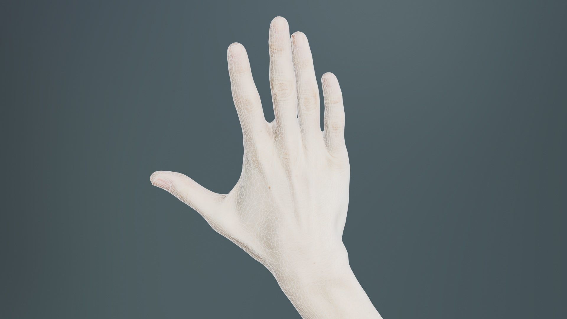 Single Hand 020 Low-poly 3D model_10