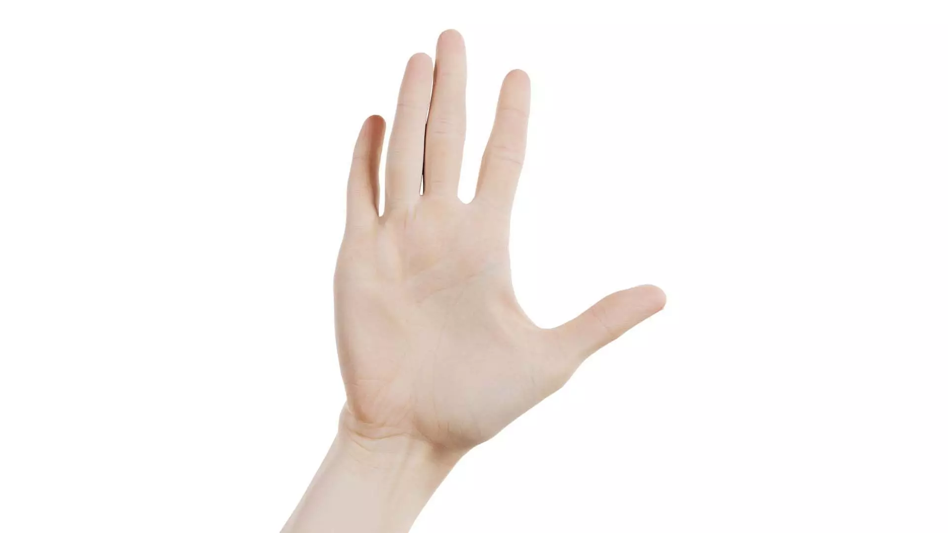 Single Hand 020 Low-poly 3D model_0