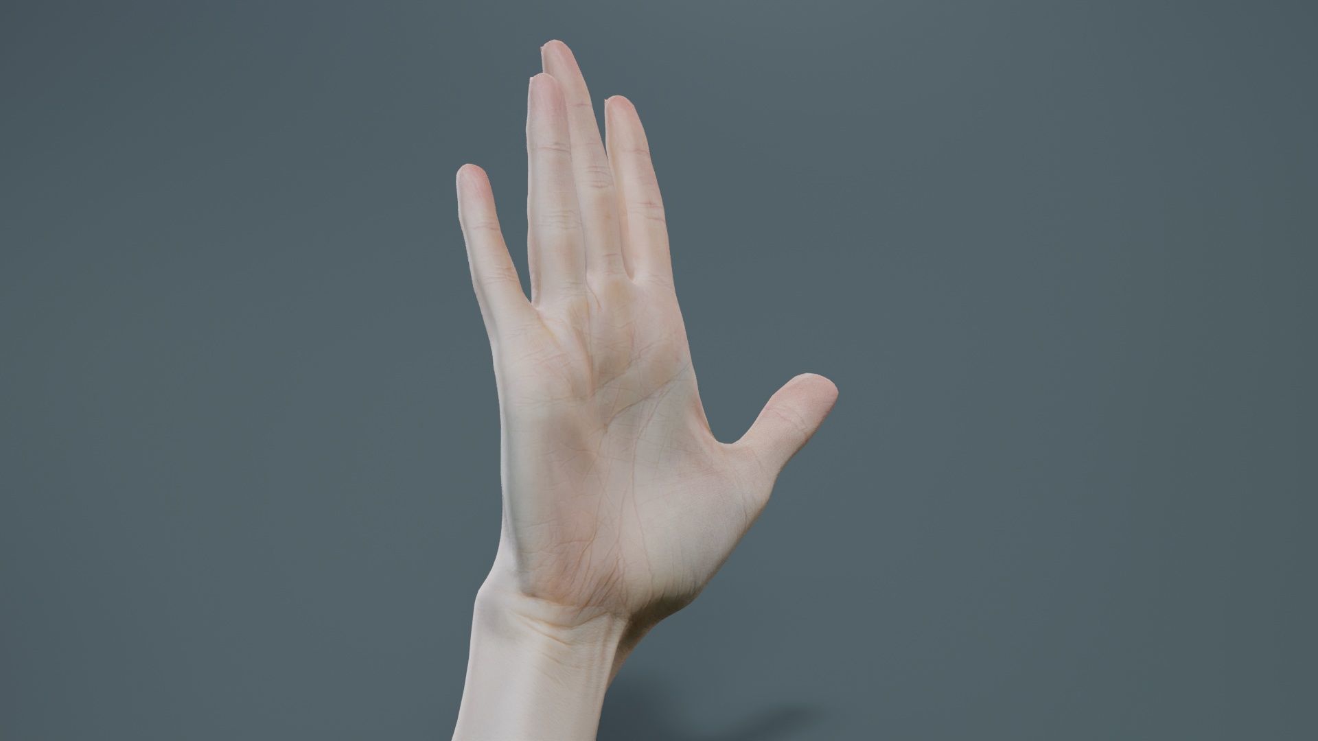 Single Hand 020 Low-poly 3D model_4