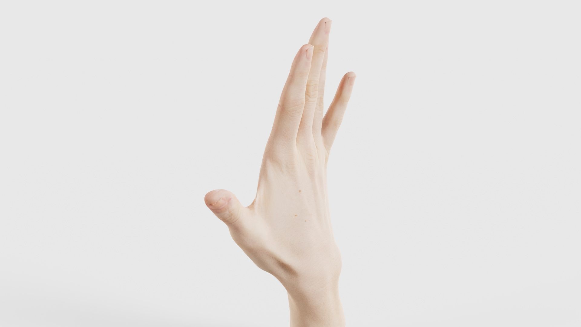 Single Hand 020 Low-poly 3D model_23