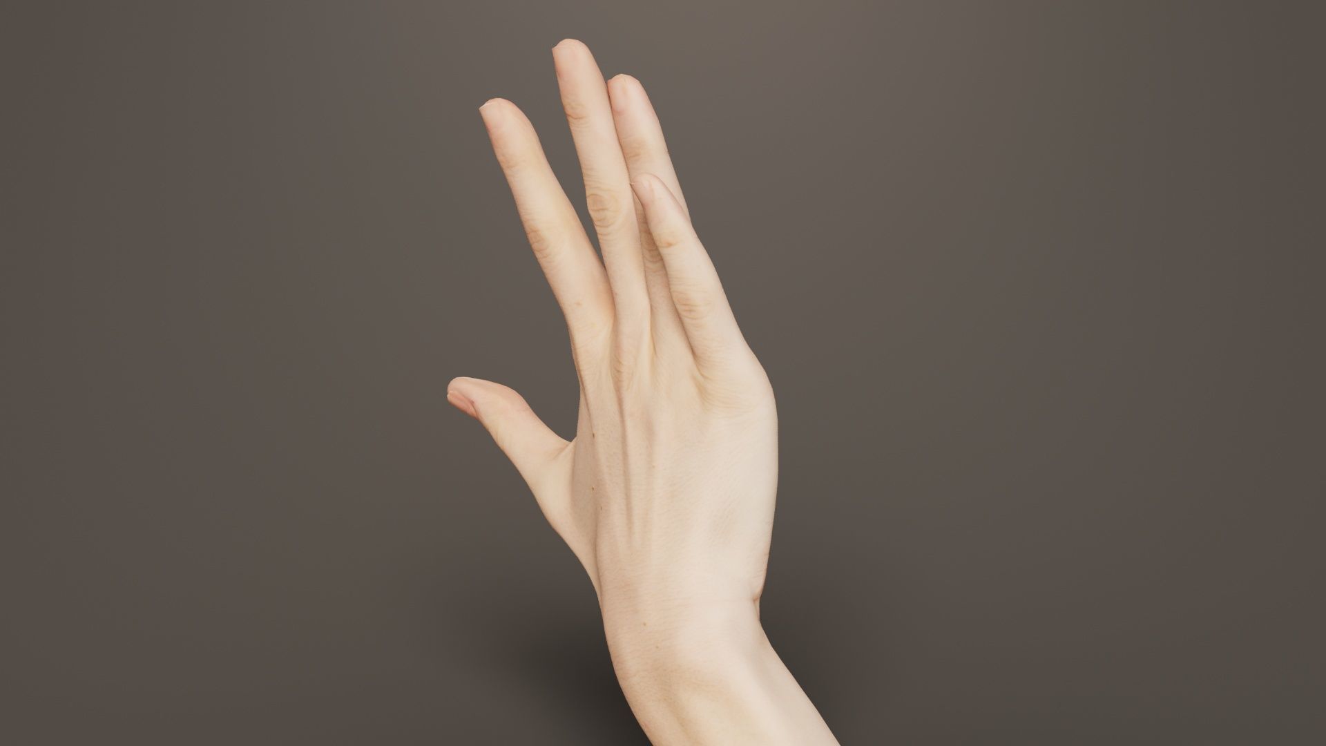 Single Hand 020 Low-poly 3D model_5