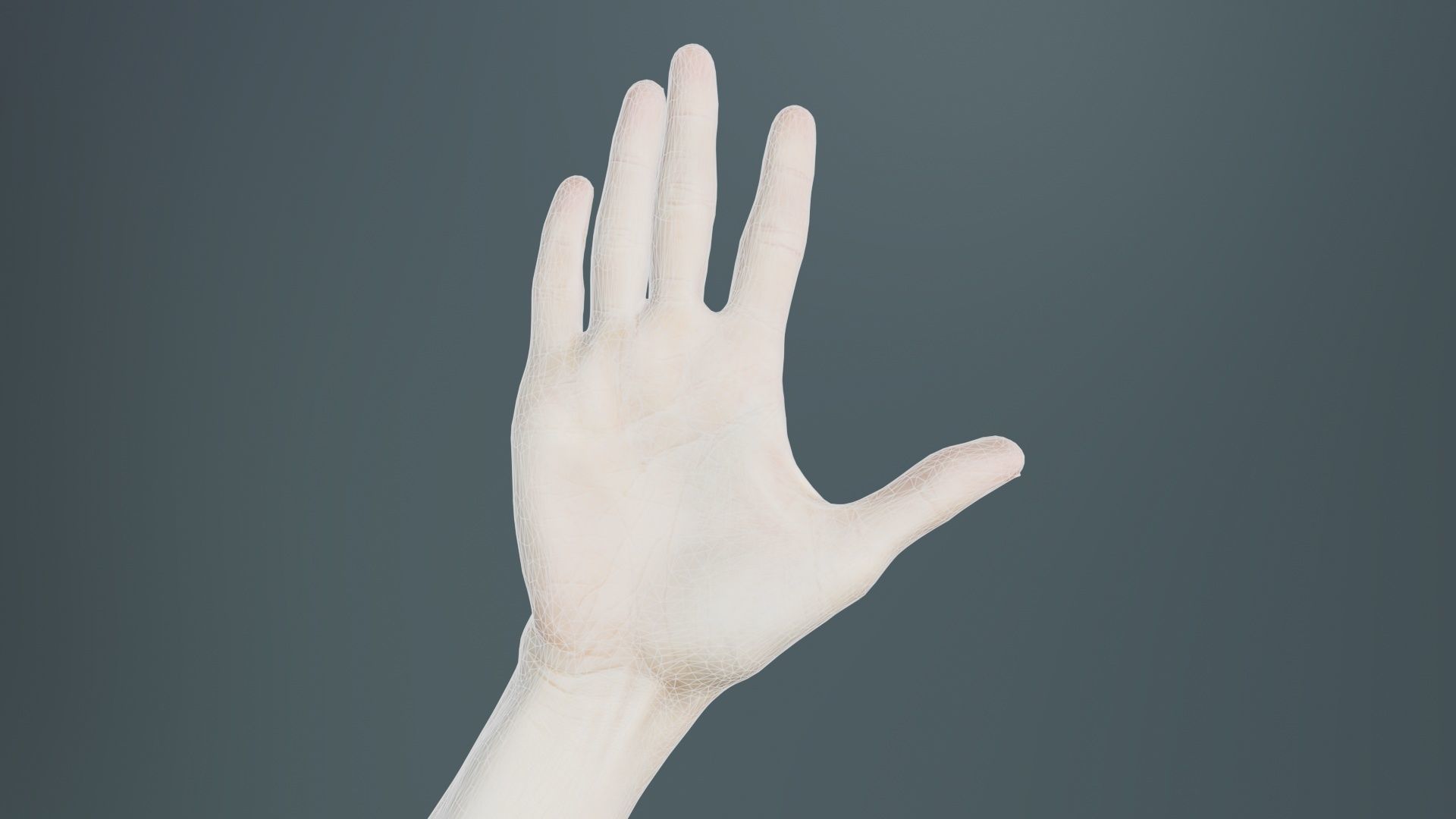 Single Hand 020 Low-poly 3D model_9