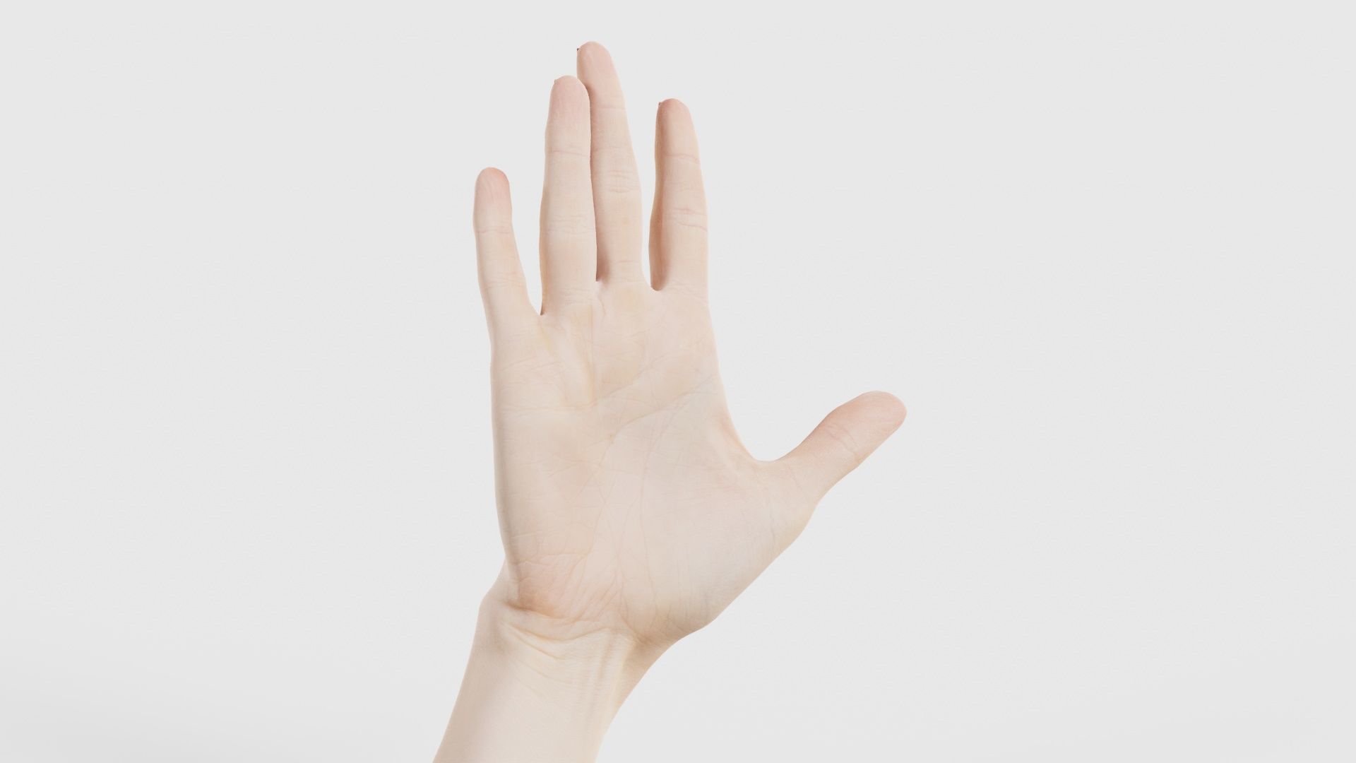 Single Hand 020 Low-poly 3D model_16