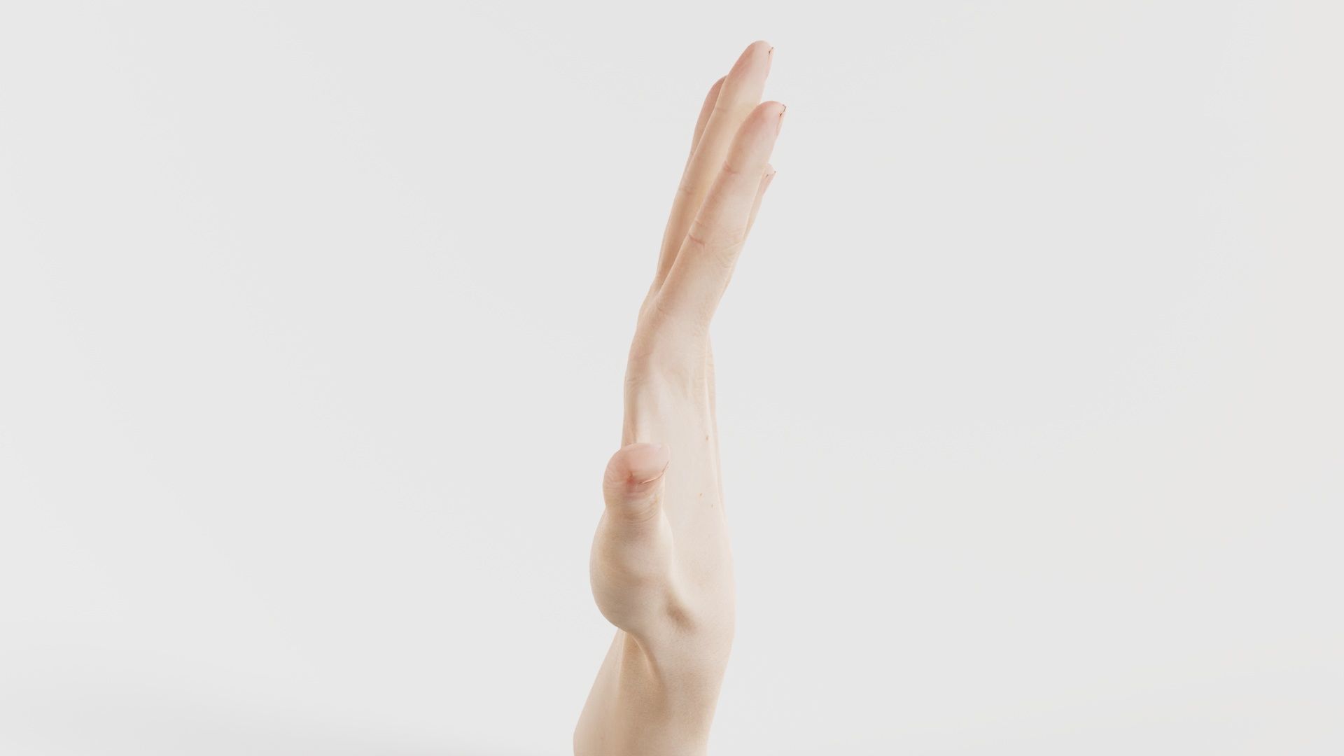 Single Hand 020 Low-poly 3D model_8