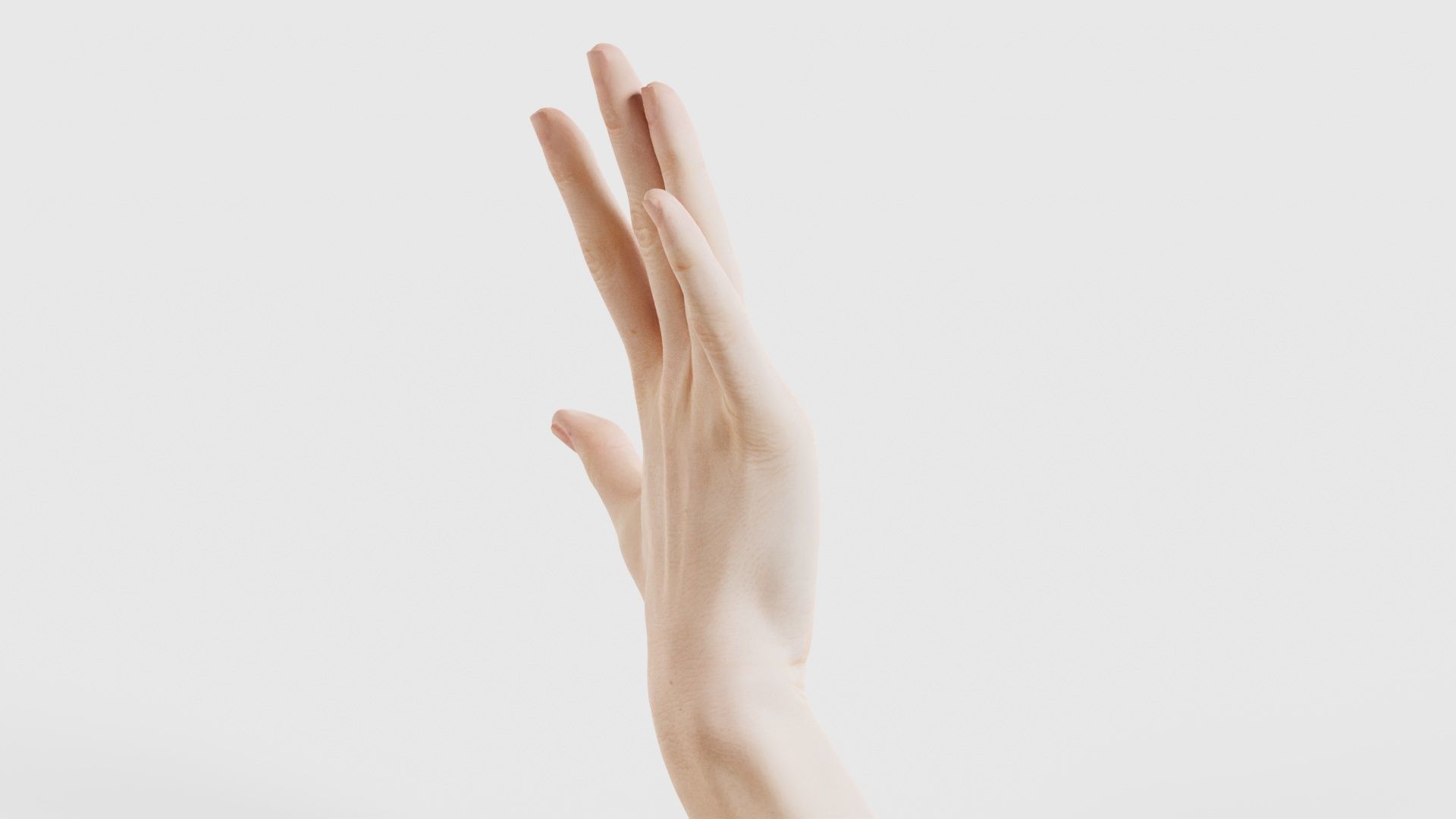 Single Hand 020 Low-poly 3D model_19