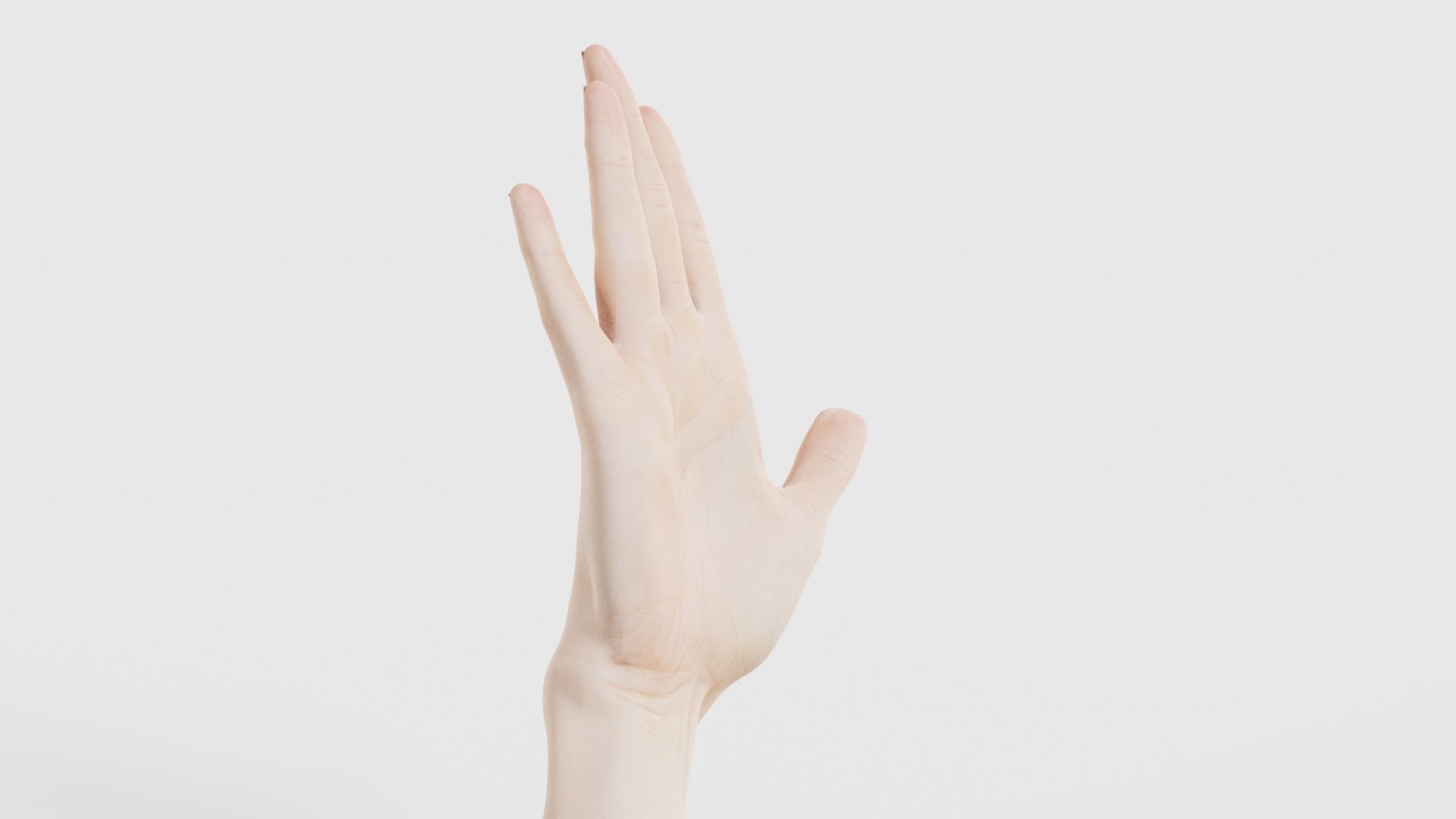 Single Hand 020 Low-poly 3D model_17