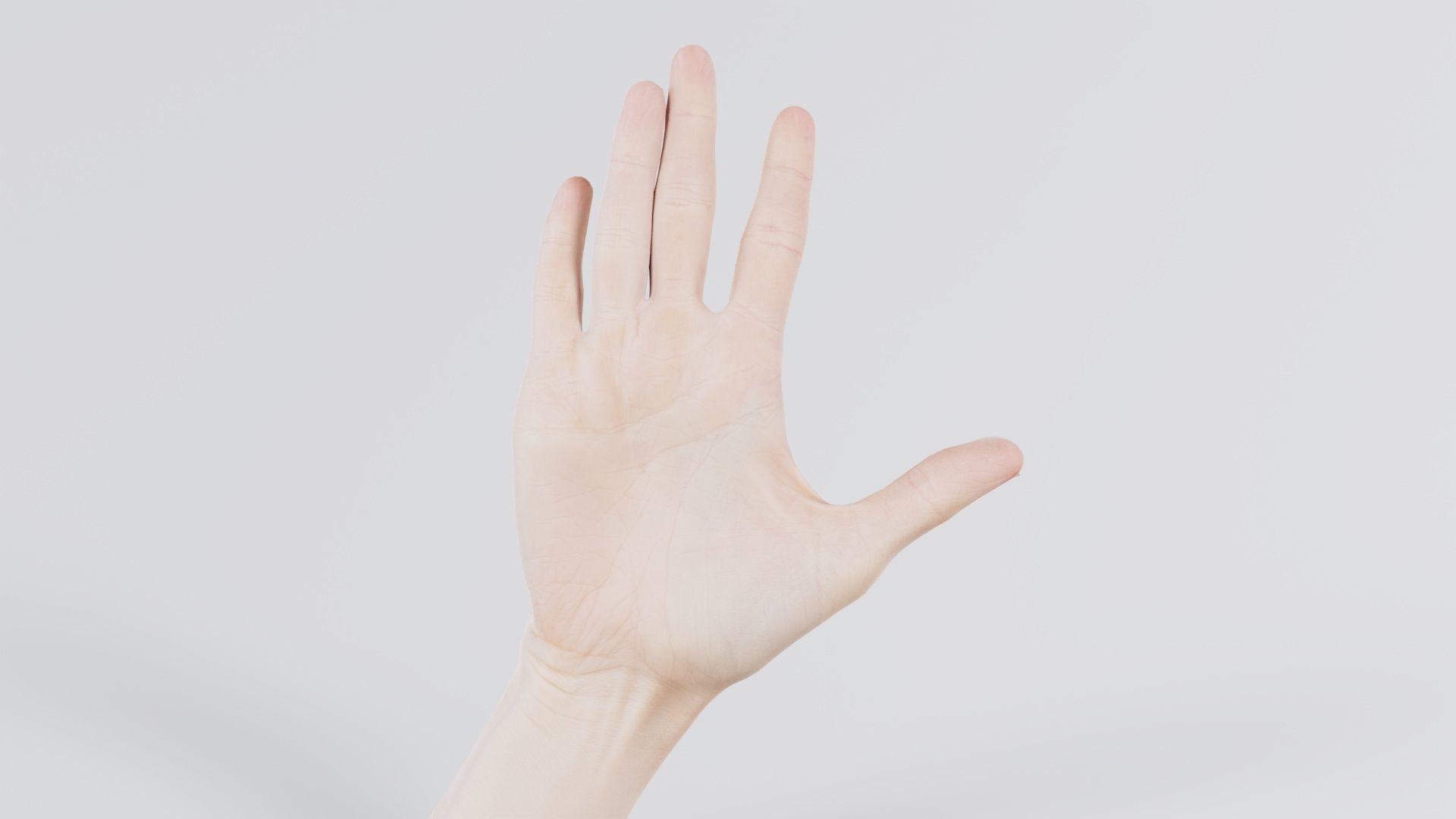 Single Hand 020 Low-poly 3D model_7