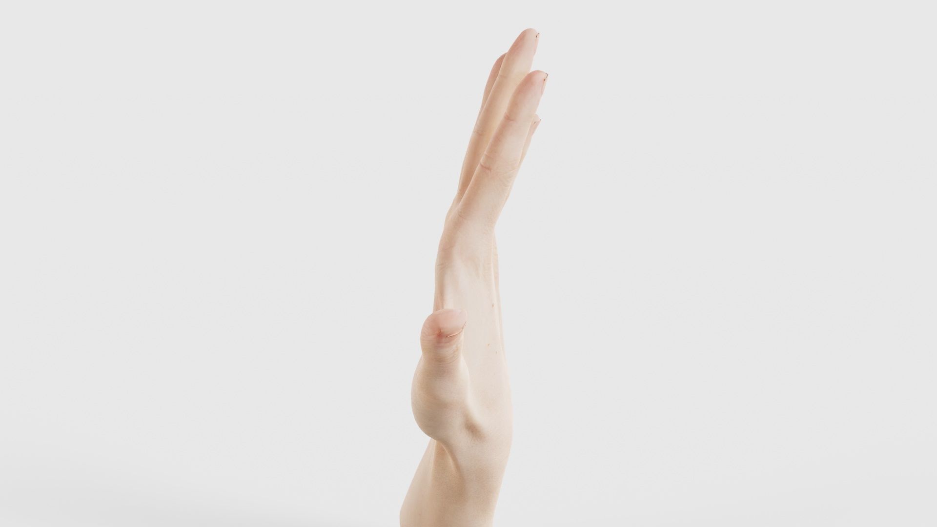 Single Hand 020 Low-poly 3D model_24