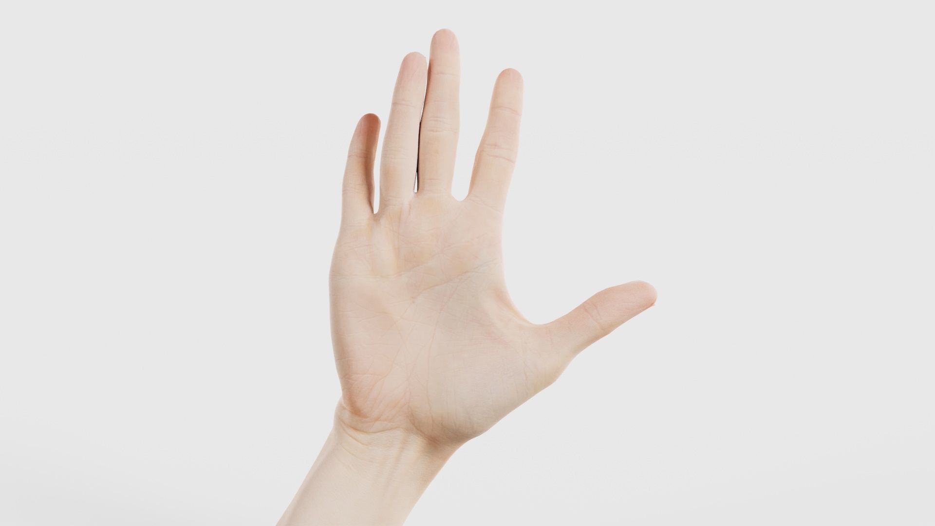 Single Hand 020 Low-poly 3D model_15