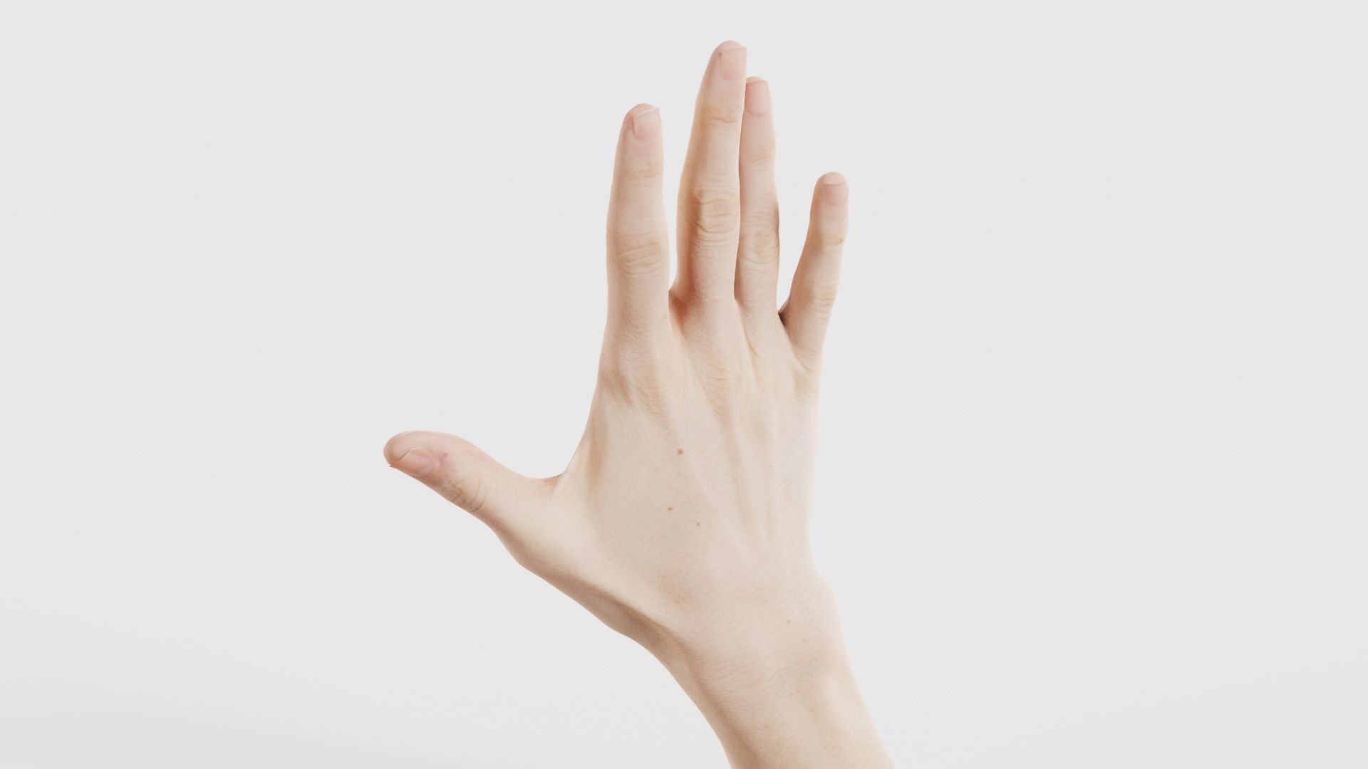 Single Hand 020 Low-poly 3D model_22