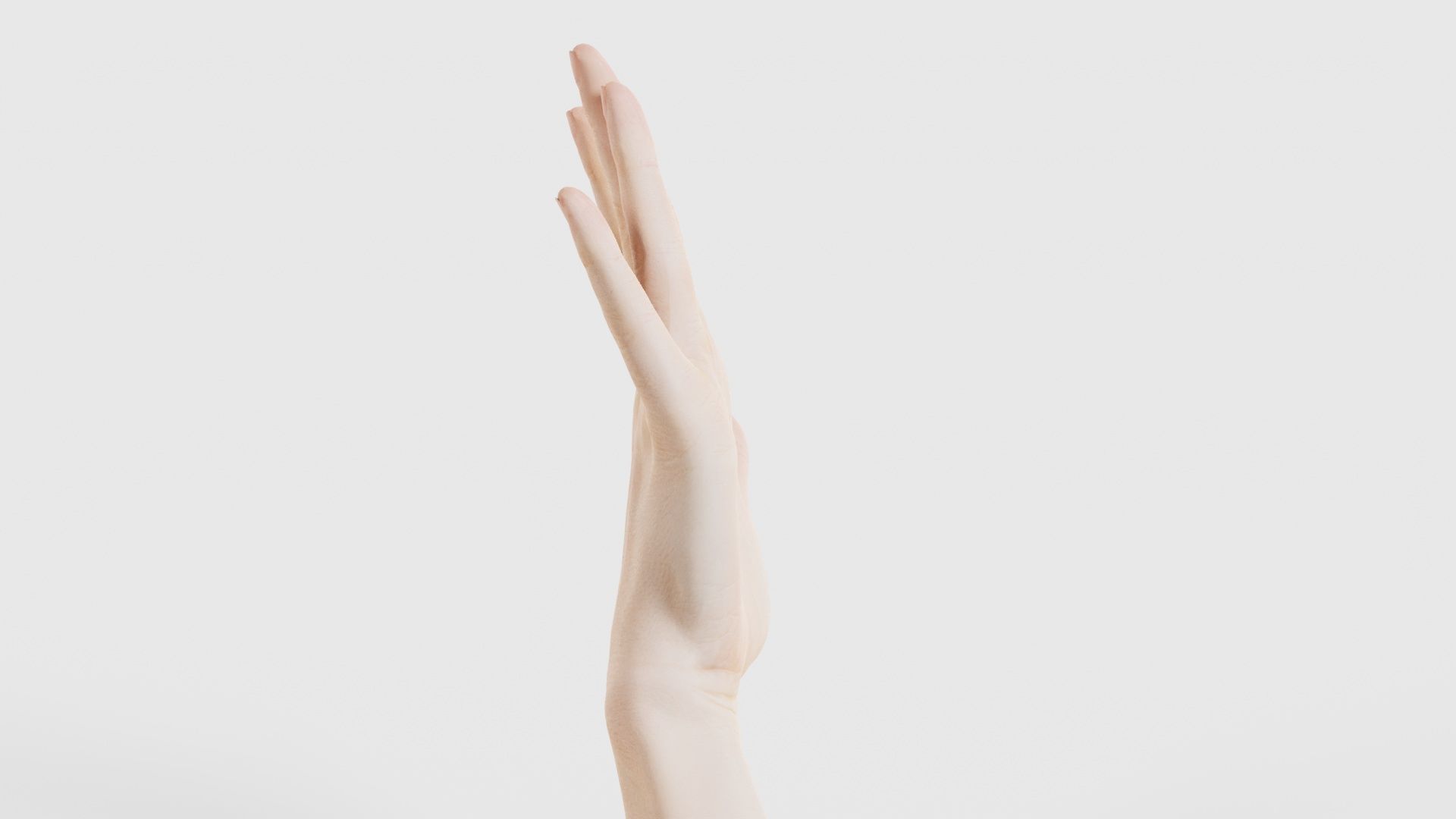 Single Hand 020 Low-poly 3D model_18