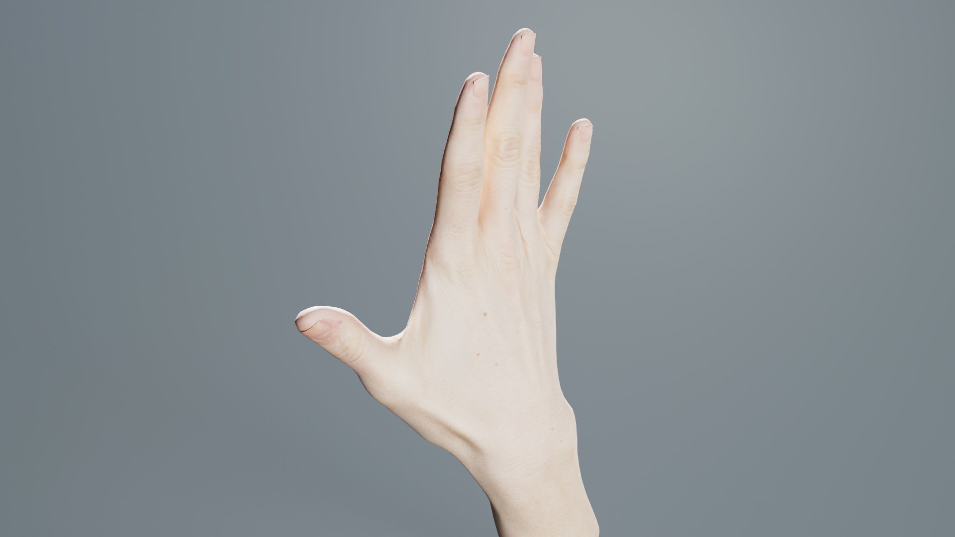Single Hand 020 Low-poly 3D model_3