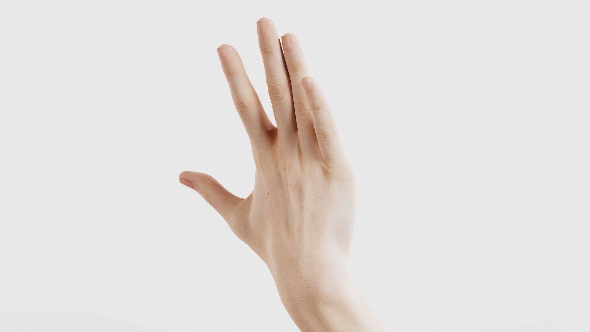 Single Hand 020 Low-poly 3D model_20