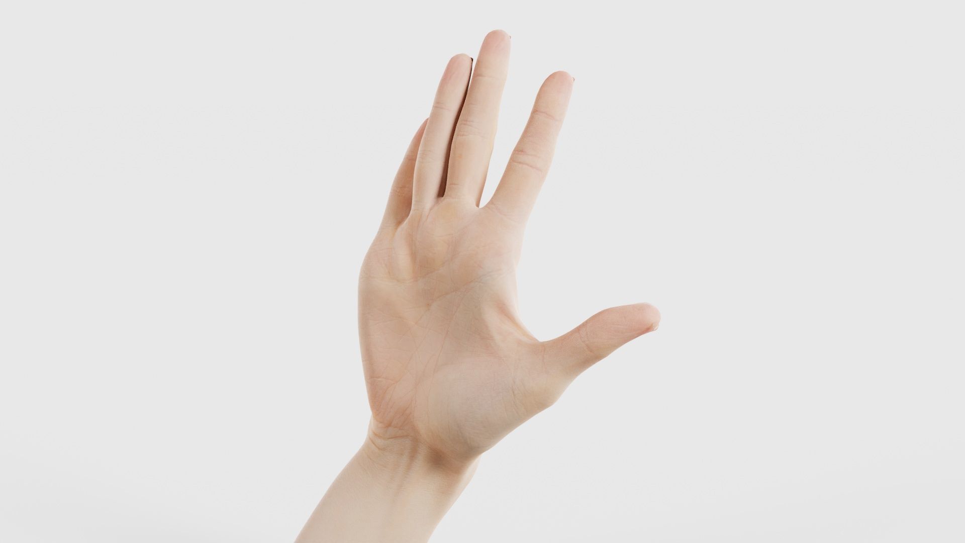 Single Hand 020 Low-poly 3D model_26