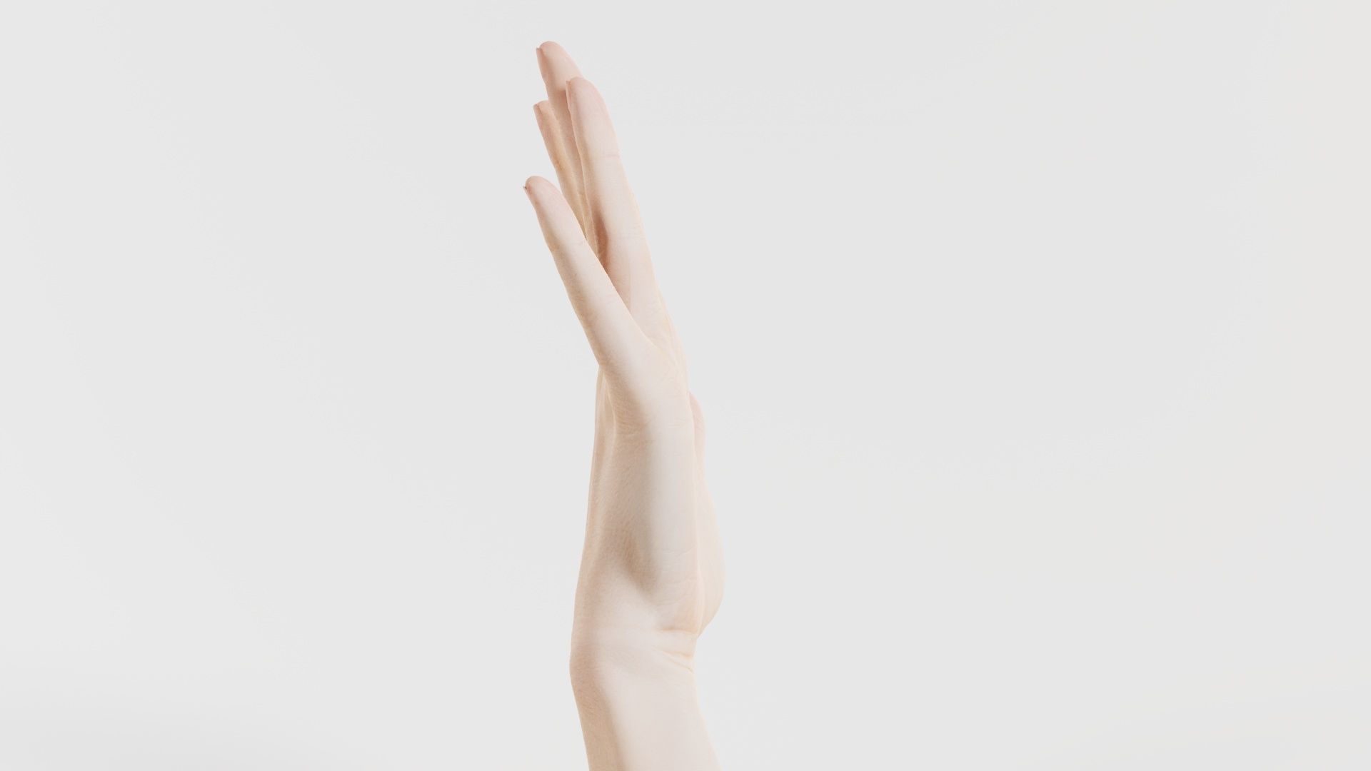 Single Hand 020 Low-poly 3D model_6