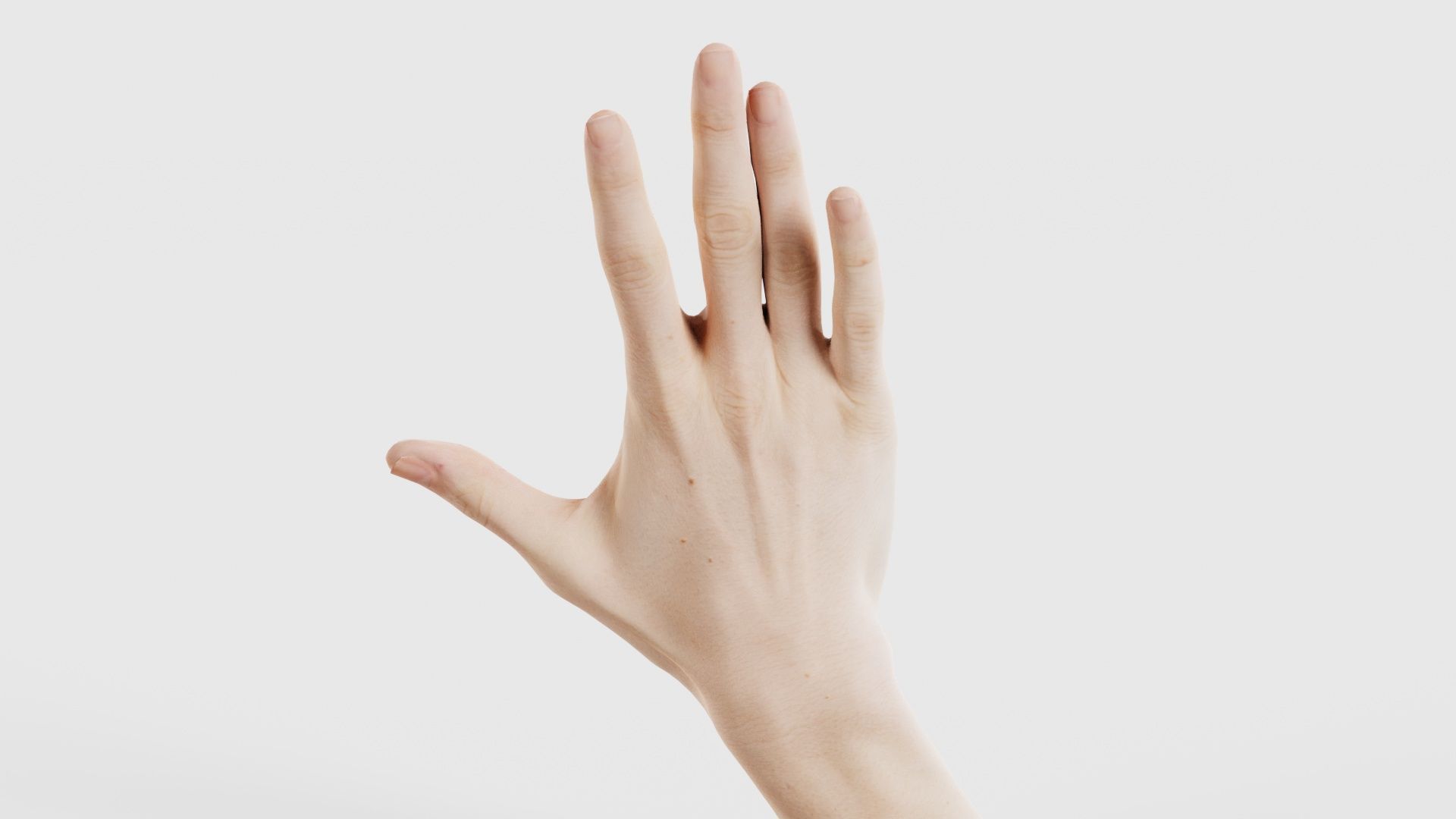 Single Hand 020 Low-poly 3D model_21