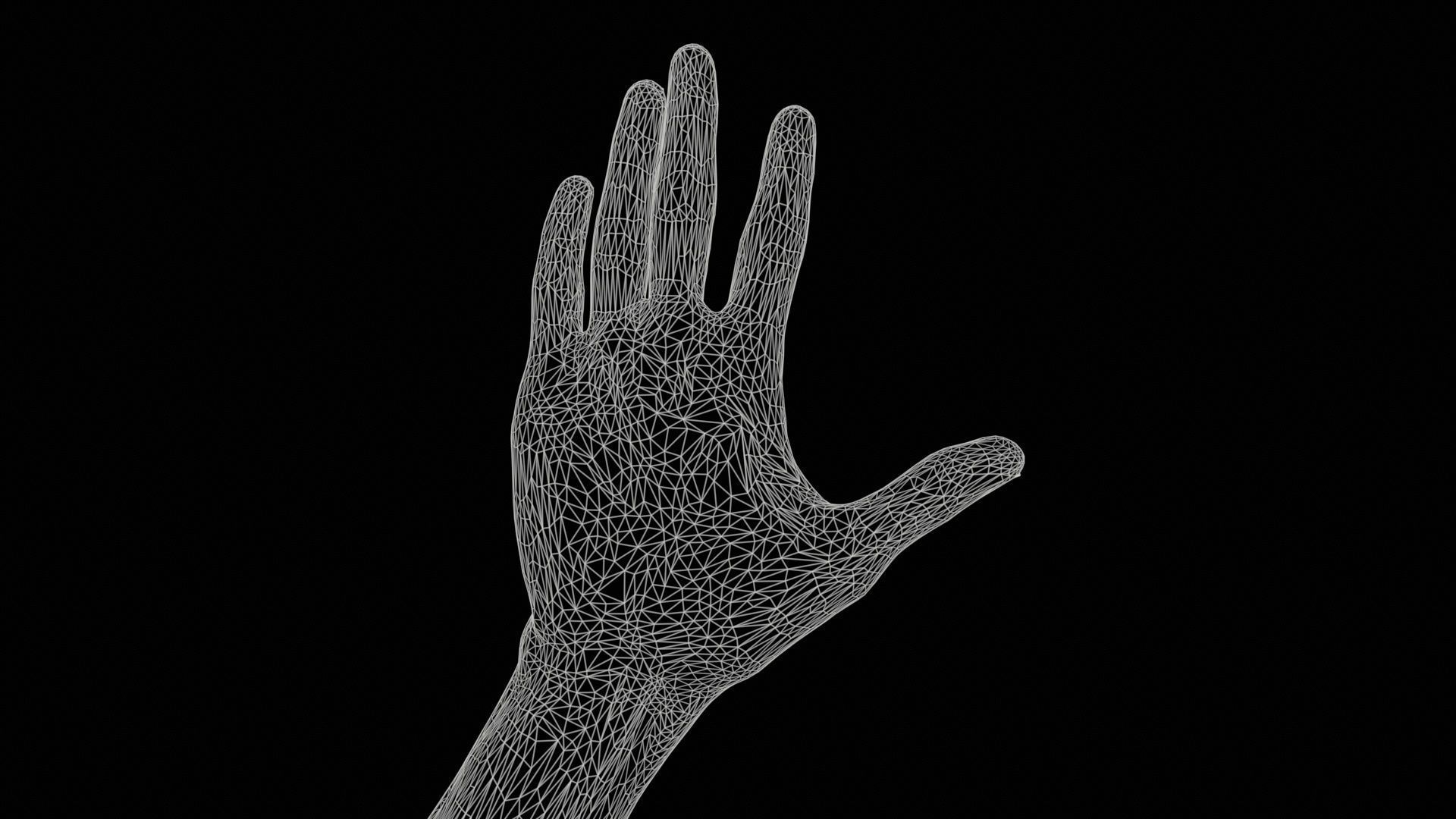 Single Hand 020 Low-poly 3D model_11